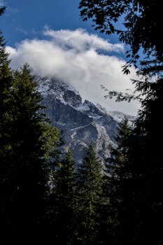 Scenic view of a snow-covered mountain peak framed by forest trees and dramatic clouds.