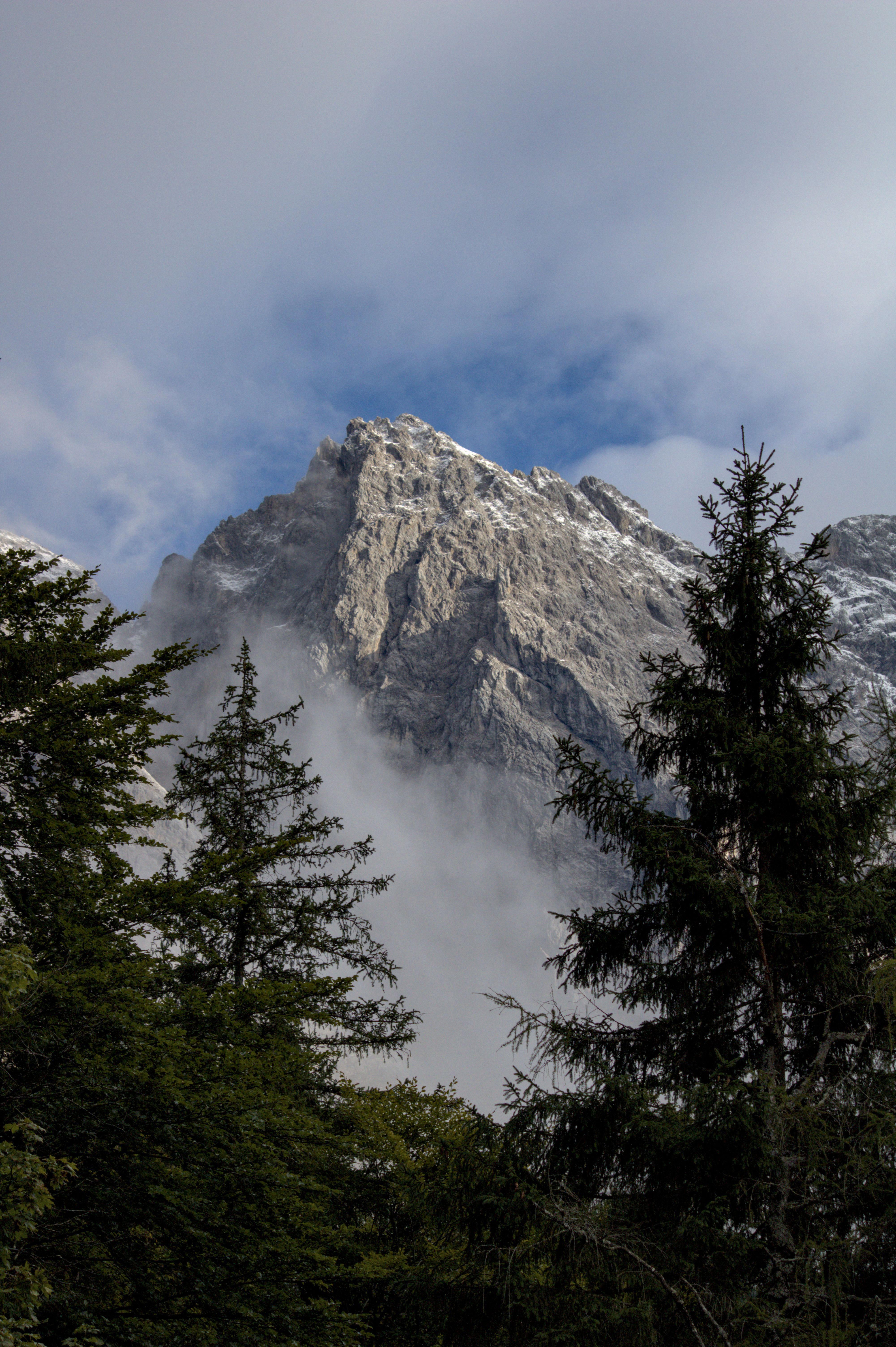 Majestic Mountain View with Lush Forest · Free Stock Photo