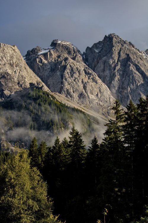 Free Stunning mountain range scene with lush pine forest and morning mist. Stock Photo