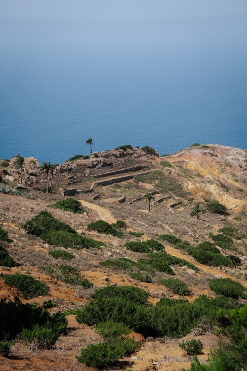 Free A panoramic view of historic terraced fields overlooking the Atlantic Ocean in Vallehermoso, Canary Islands. Stock Photo