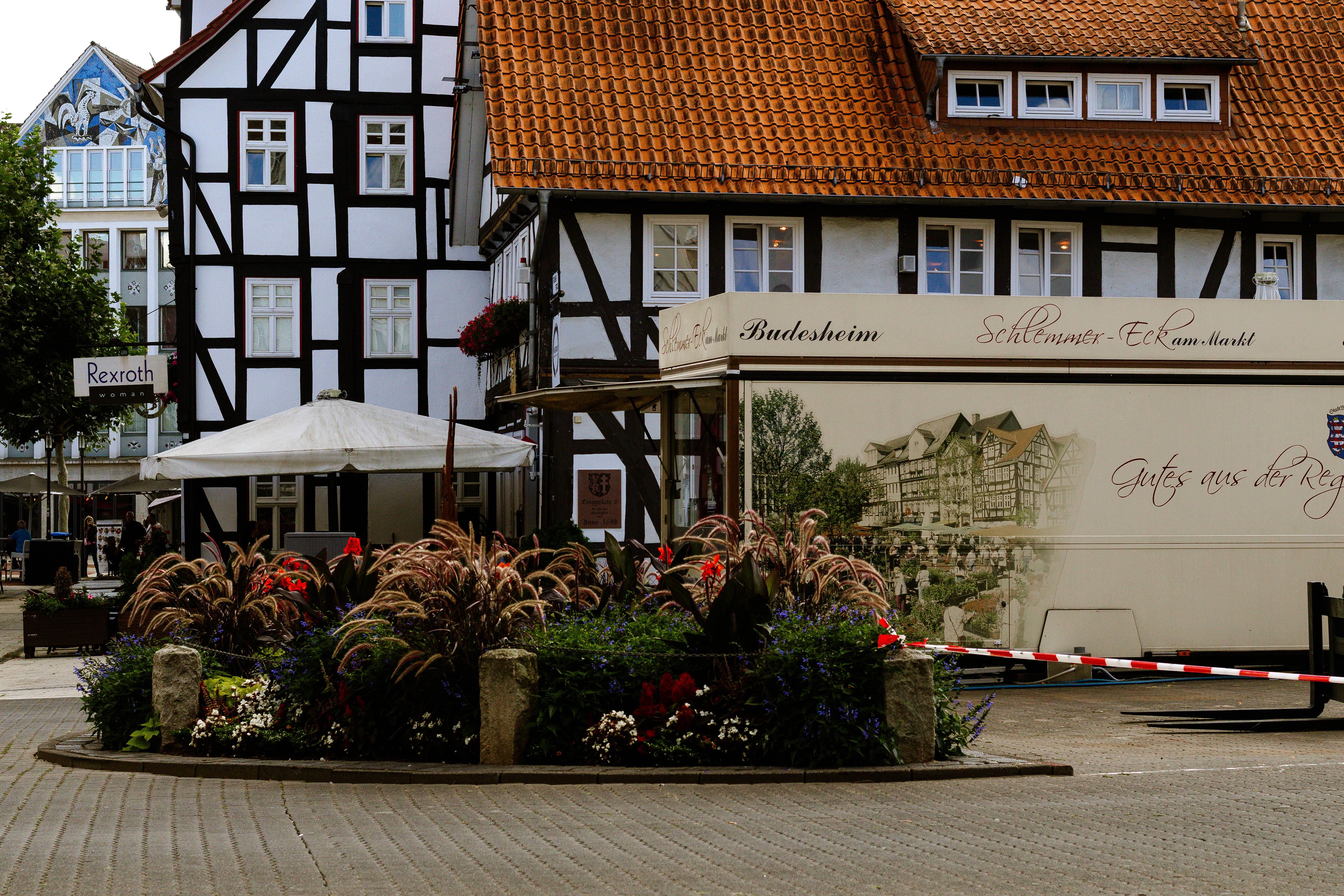 Edelstauden