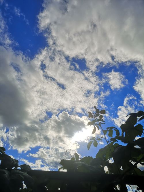 Free Himmel  Stock Photo