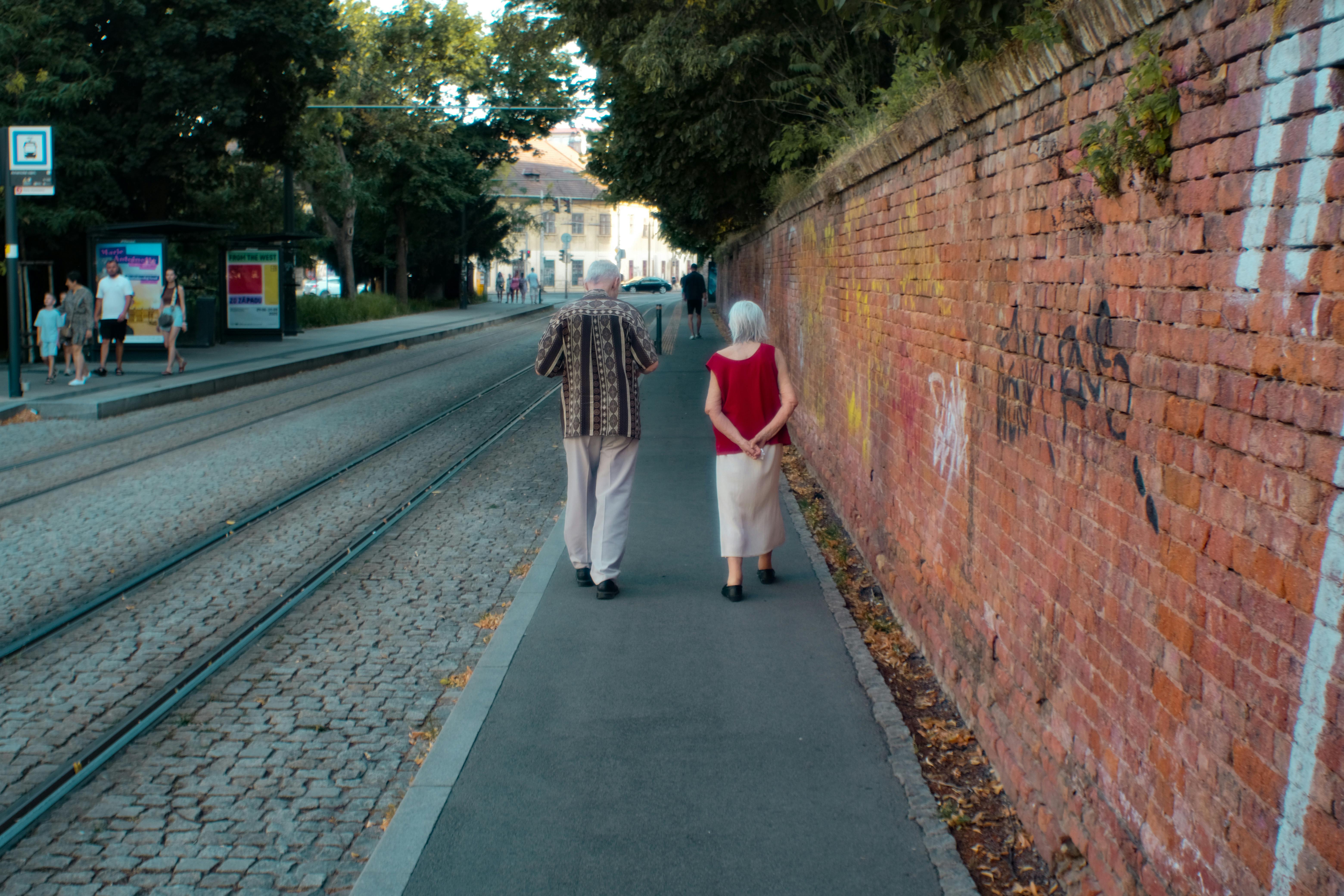 Enhancing Education with Interactive Learning Tools