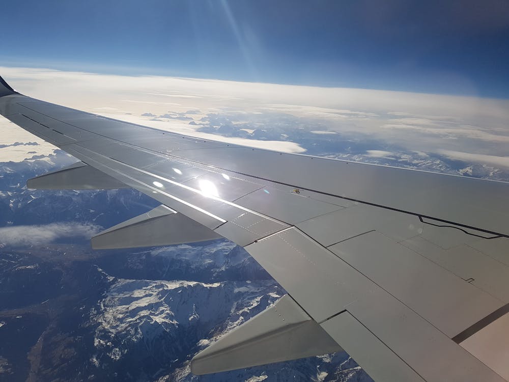 Whats The Difference Between Enfamil Infant And Enfamil Neuropro