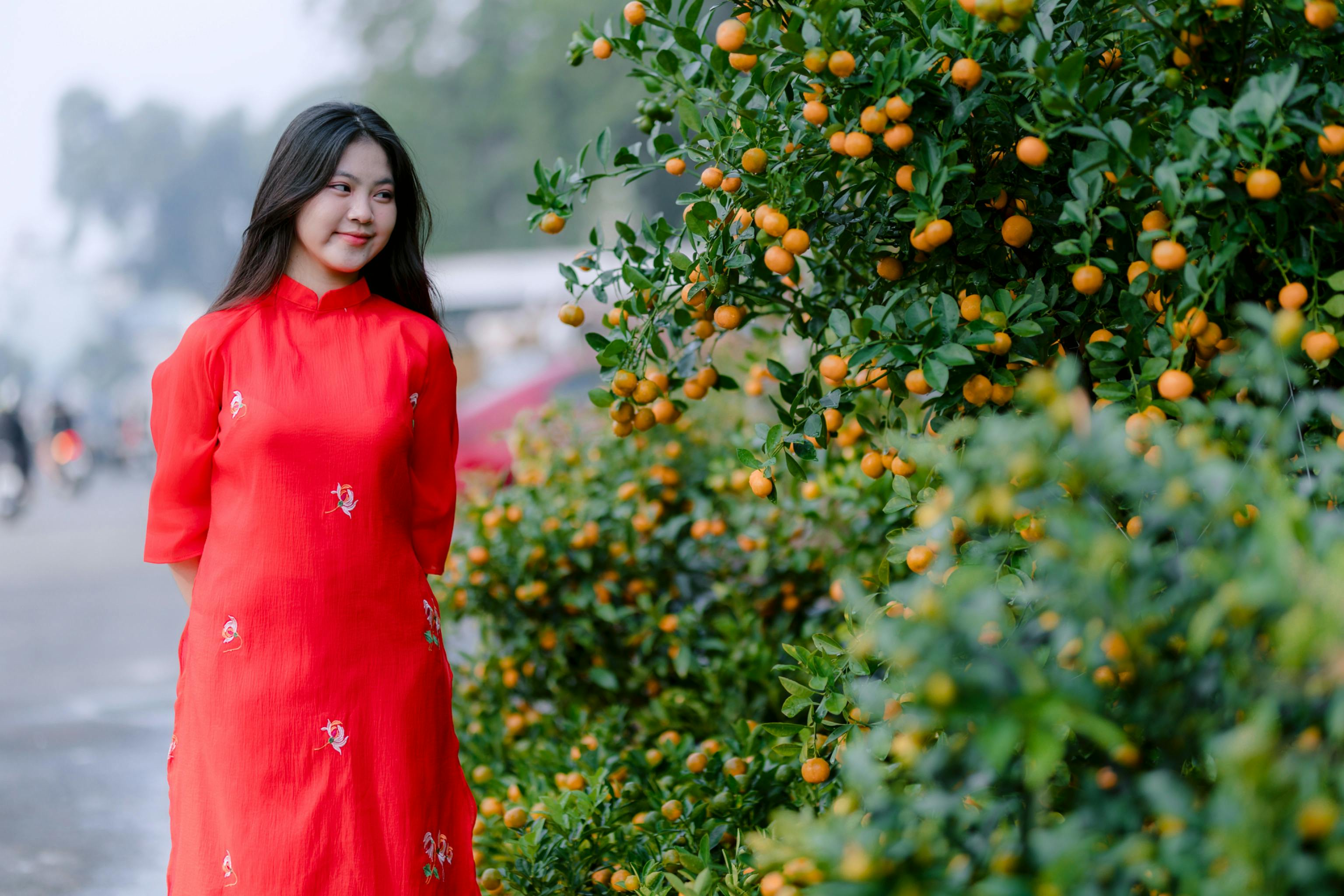 科技：宜蘭金柑轉型拚經濟 從蜜餞到面膜的創新之路