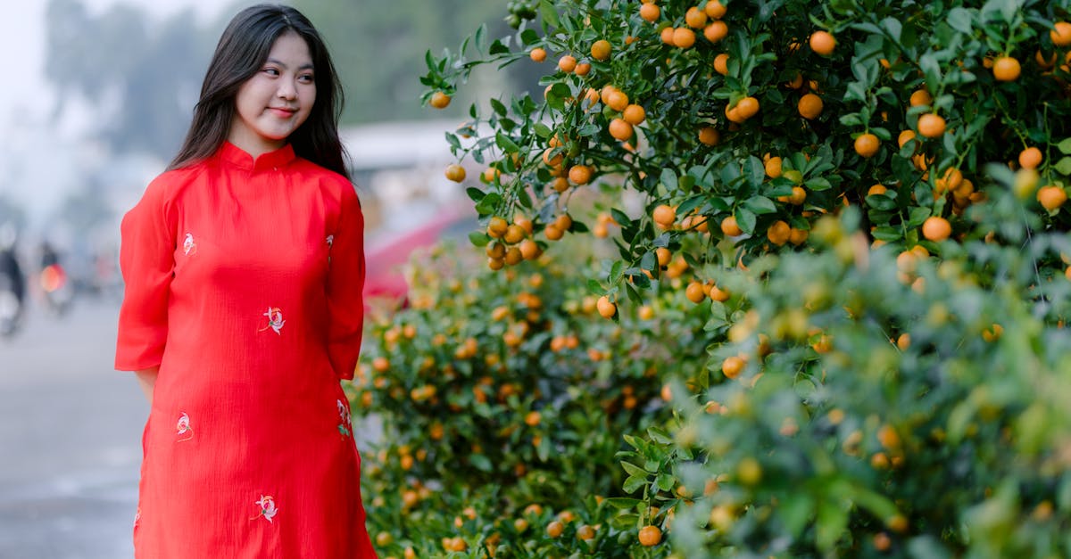 科技:宜蘭金柑轉型拚經濟 從蜜餞到面膜的創新之路