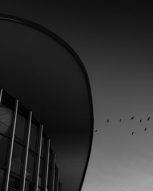 A black and white photo of a modern building with birds flying in the sky in Rostock.