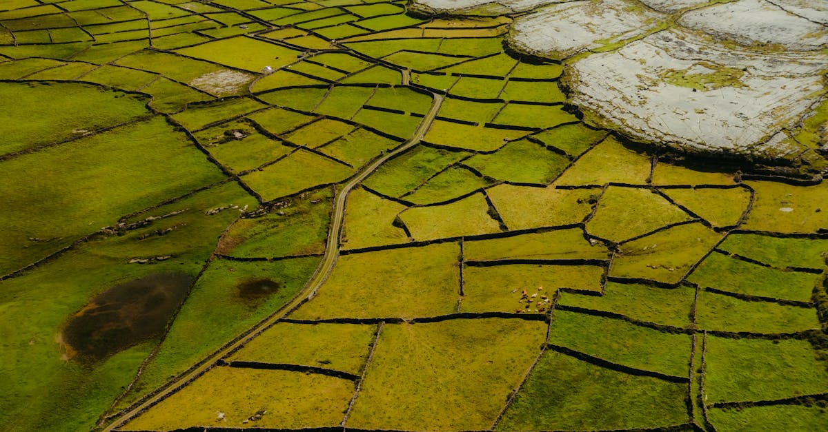 白河 後壁 西港農事體驗活動開跑 邀您一起感受臺南農村魅力