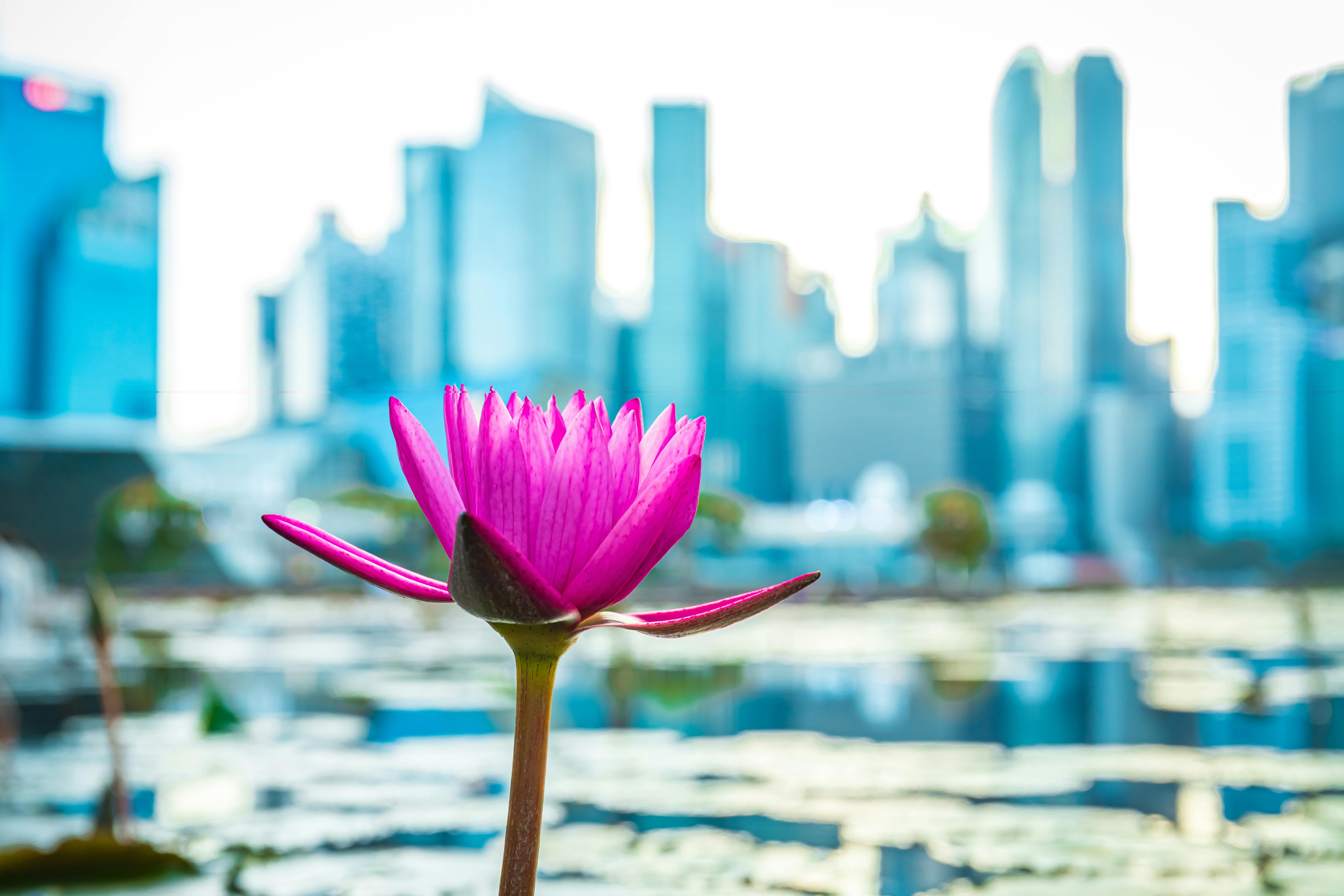 Naturopaths Singapore