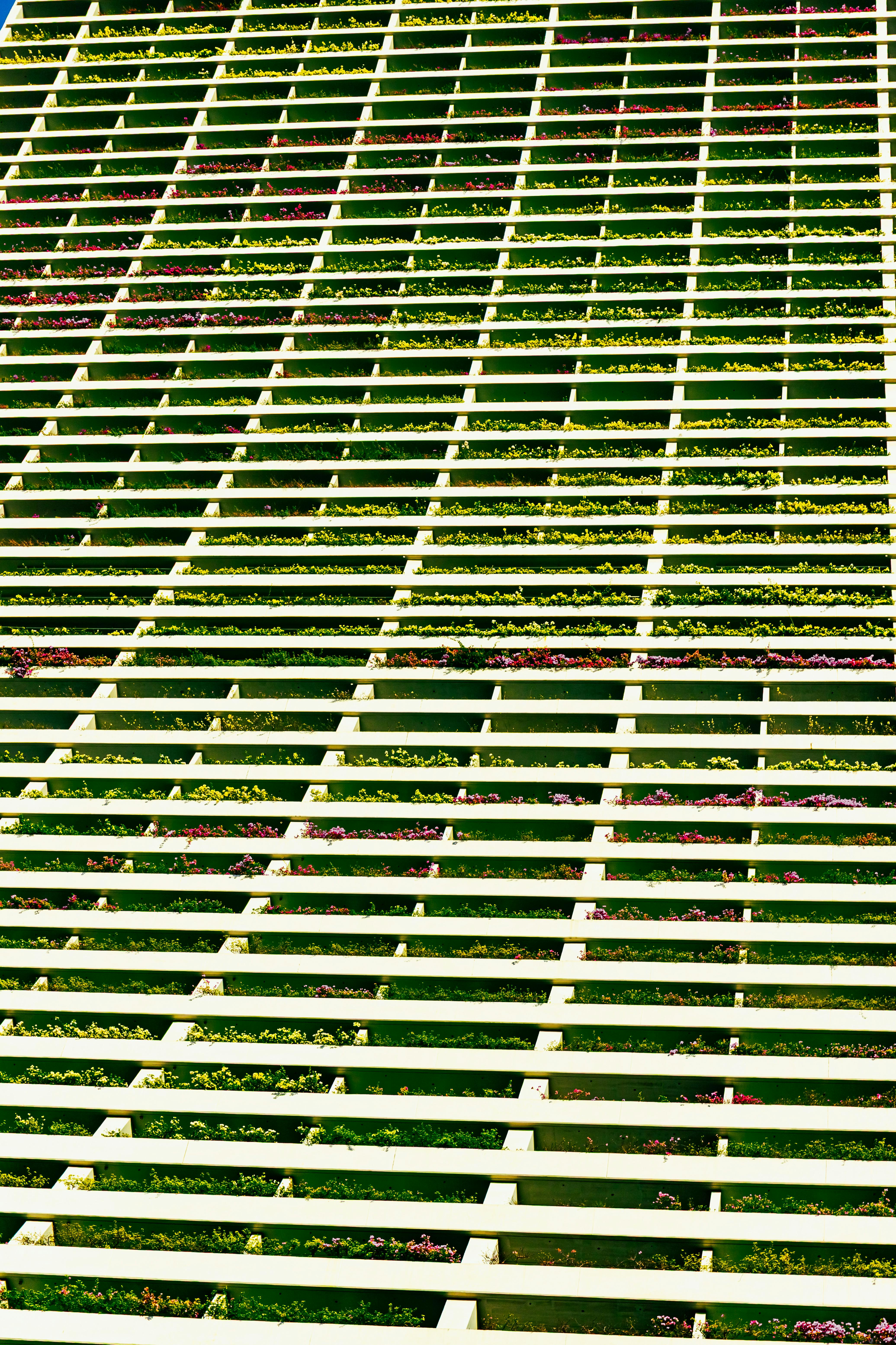 環境部表揚環保模範 64家企業與12位個人獲獎