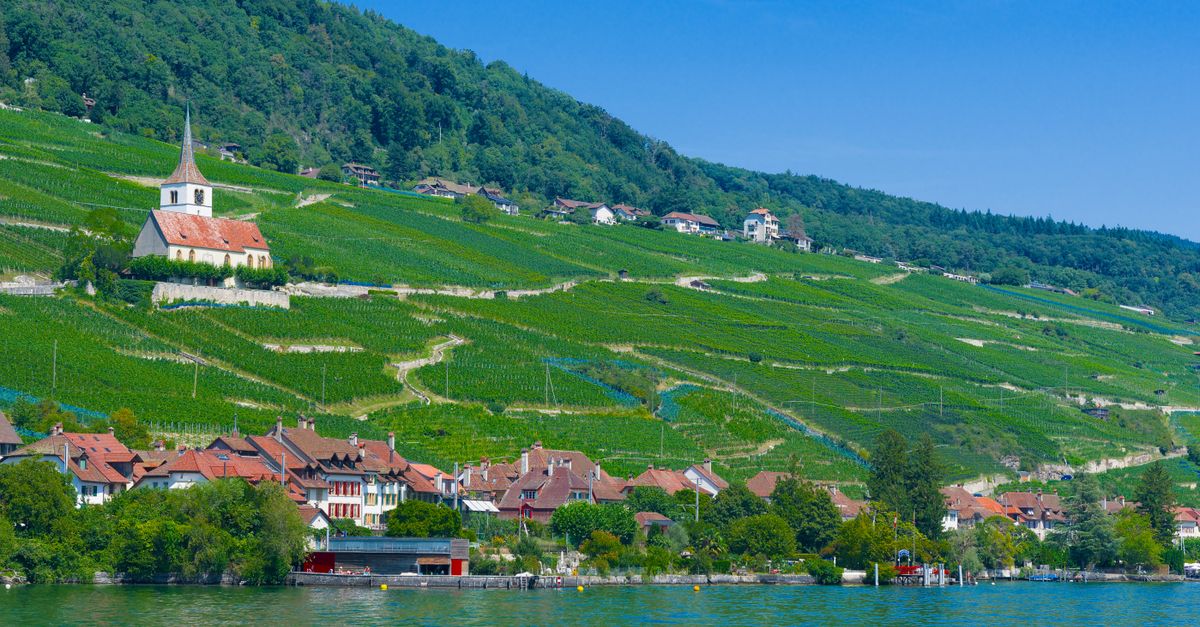 Charming view of Ligerz village, lush vineyards, and iconic church by Lake Biel, Switzerland.