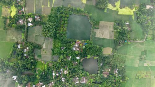 Free Aerial image showcasing lush green farmland and villages in Bangladesh. Stock Photo