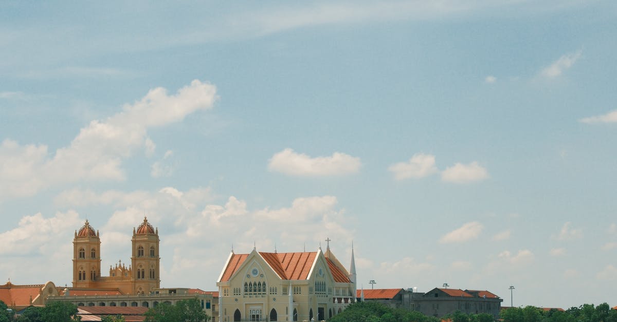 白河 後壁 西港農事體驗活動開跑 邀您一起感受臺南農村魅力