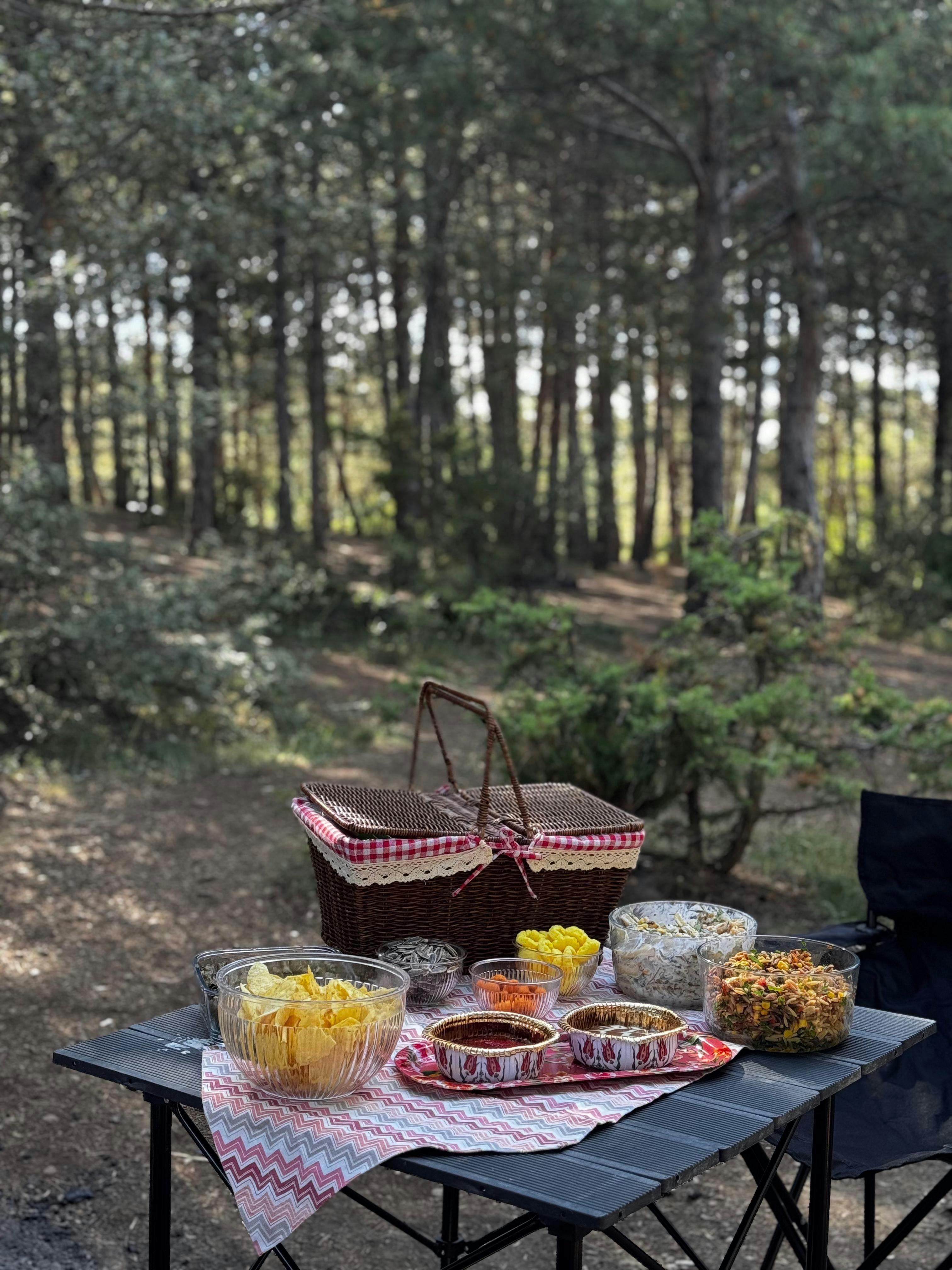 Die 5 besten Picknickkorb: Top 9 Modelle 2026 - Alpacacamping: Test & Vergleich