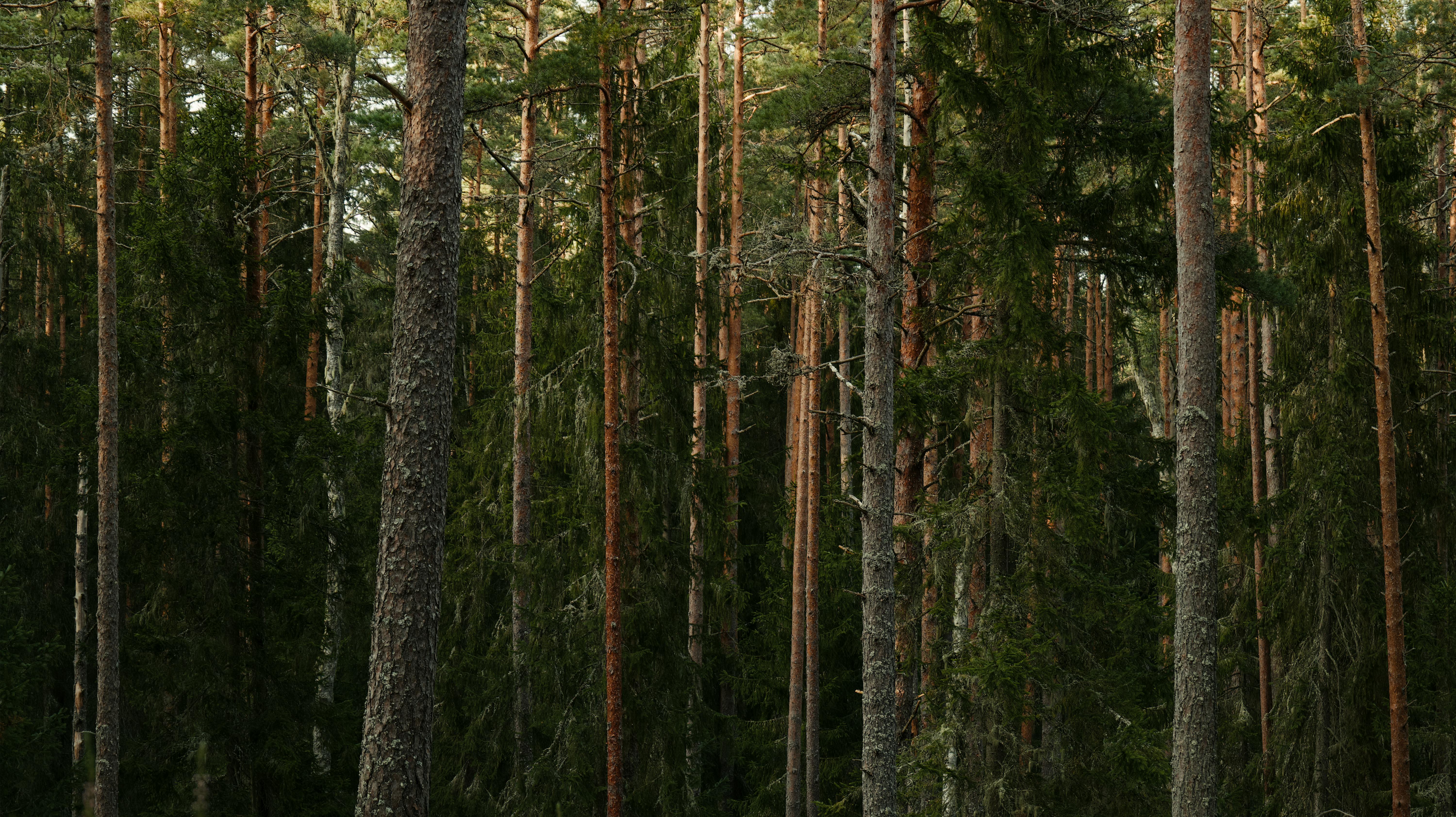 100 000+ Petite+culotte+sous+la+jupe banque d�??images et photos libres de droit ?� T?�l?�chargement 