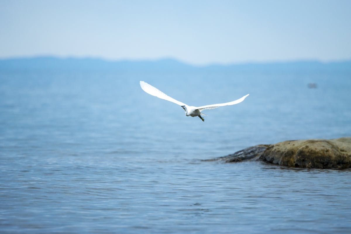 Victoria+Pfeifer+Hot+Photo Photos, Download The BEST Free Victoria