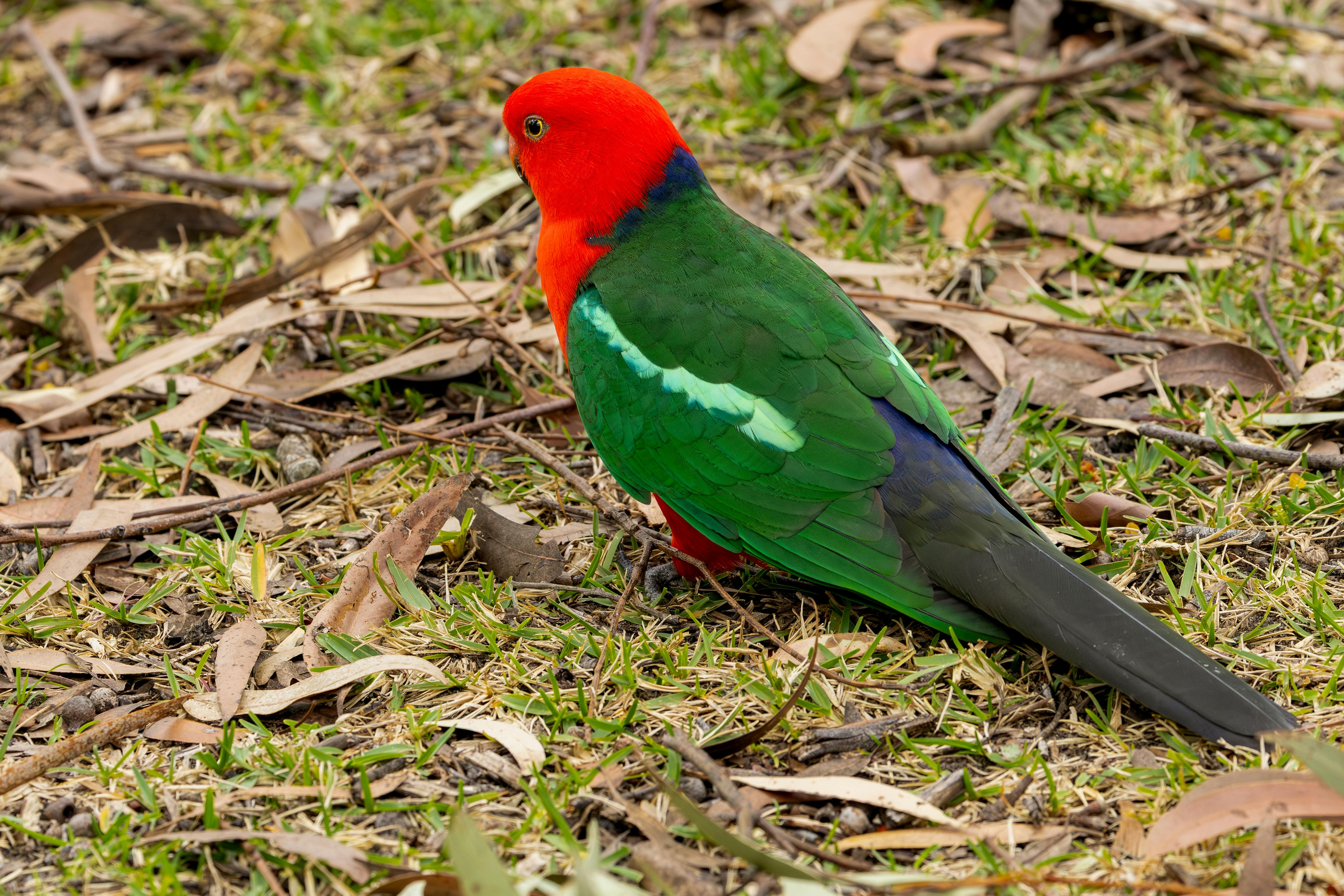 政治：巴拉圭環境部長訪台簽署碳權合作備忘錄 強化雙邊環保夥伴