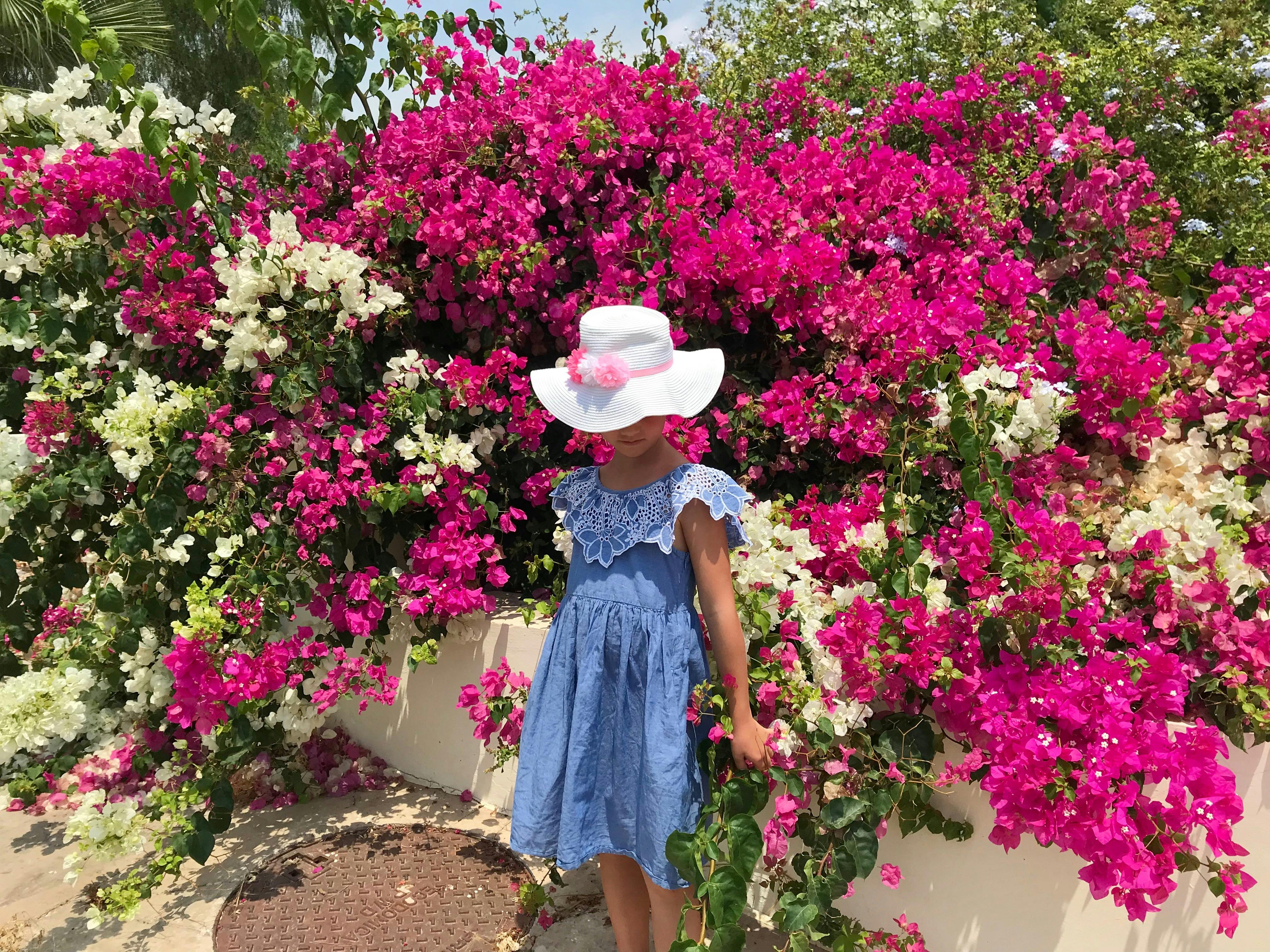 A biodiesel production facility with large industrial tanks and pipes, representing renewable energy.