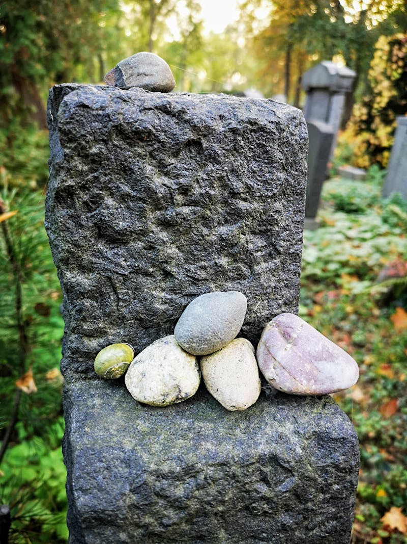 Miembro del equipo 3