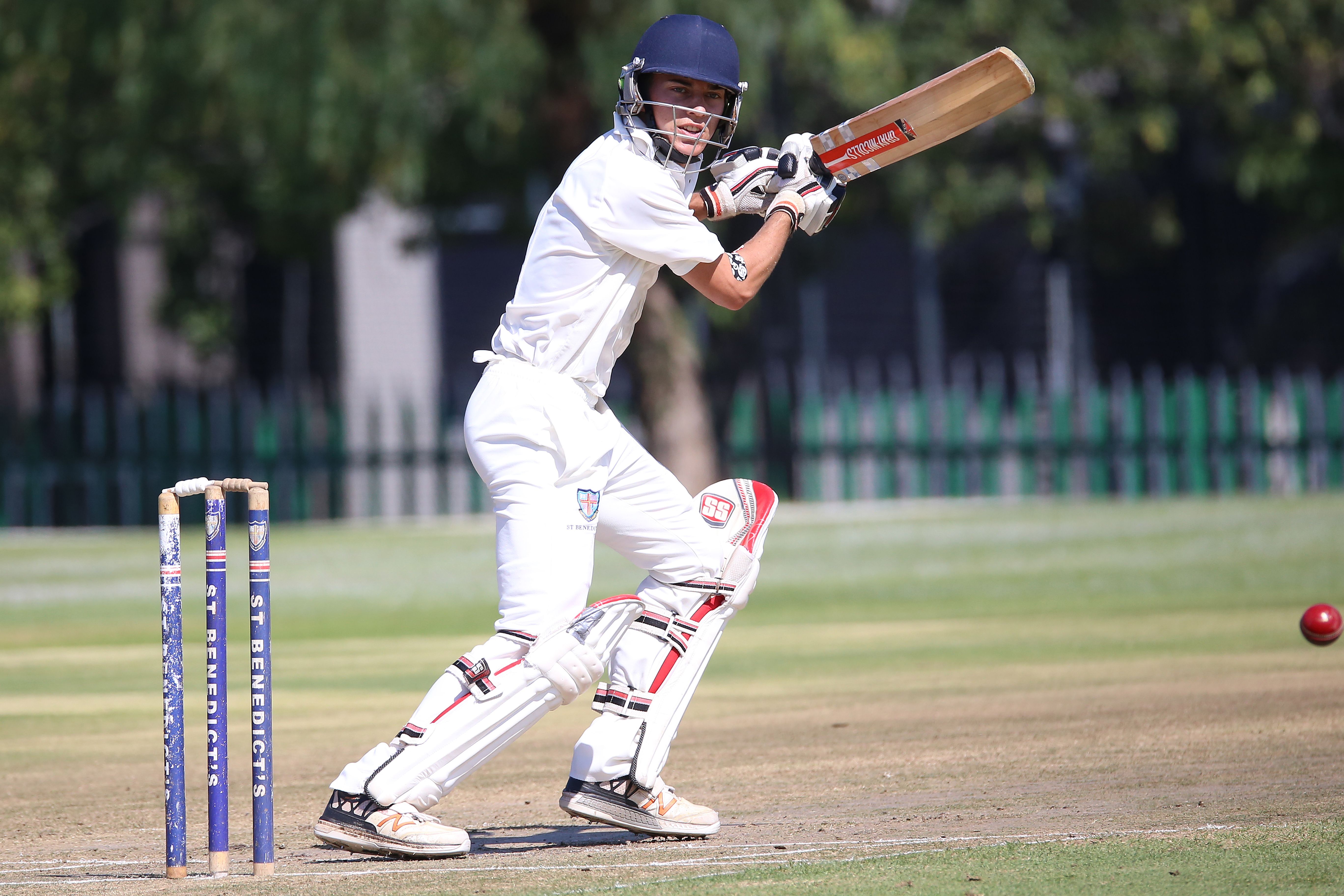 Cricket Stumping Photos, Download The BEST Free Cricket Stumping Stock ...