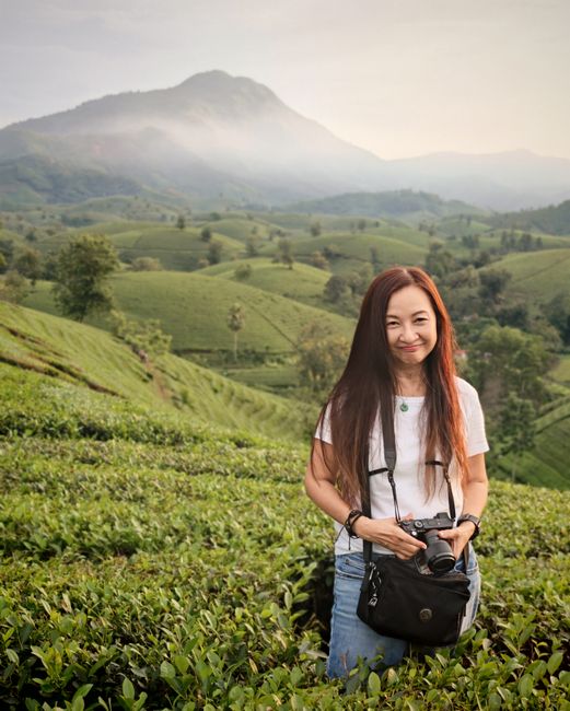 Embarking on a Tea Plantation Adventure Embarking on a Tea Plantation Adventure