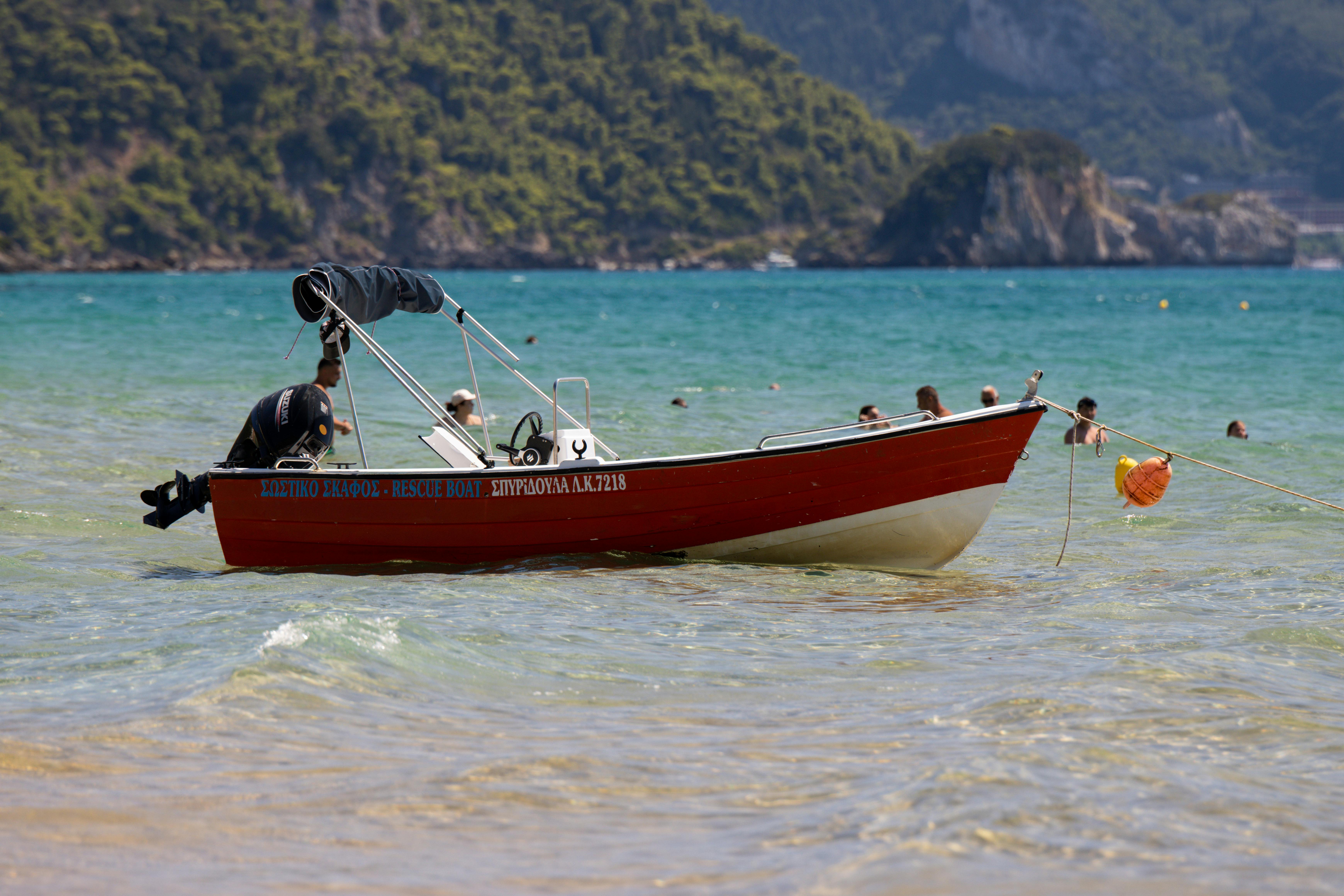2025년, 당신의 반려견을 위한 최고의 선택: 인기 애견 용품 추천 - 상세 이미지 2