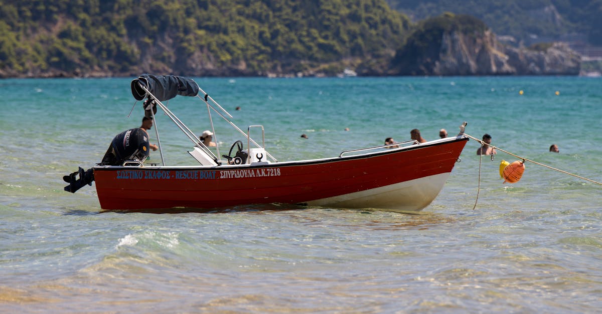 2025년, 당신의 반려견을 위한 최고의 선택: 인기 애견 용품 추천 - 상세 이미지 2