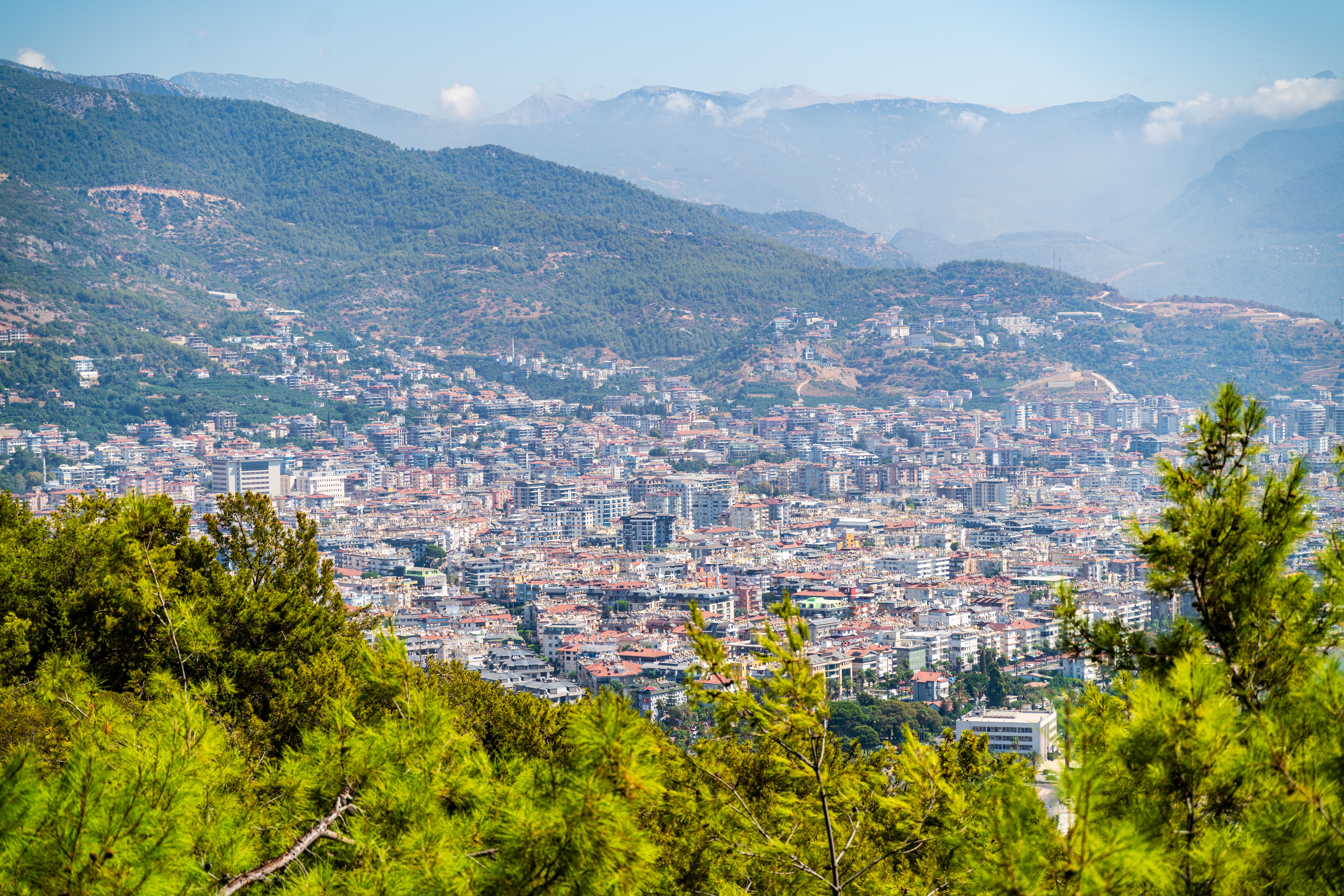 Alanya Kinnisvaraagentuurile: Kuidas Valida Usaldusväärne Partner Kodu Ostmisel?