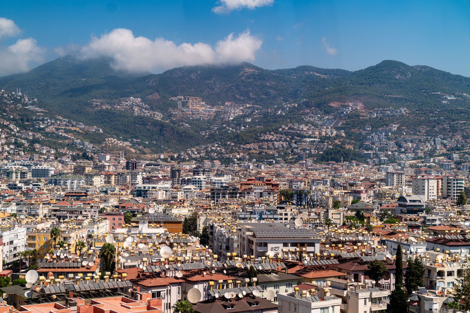 Duzce cityscape