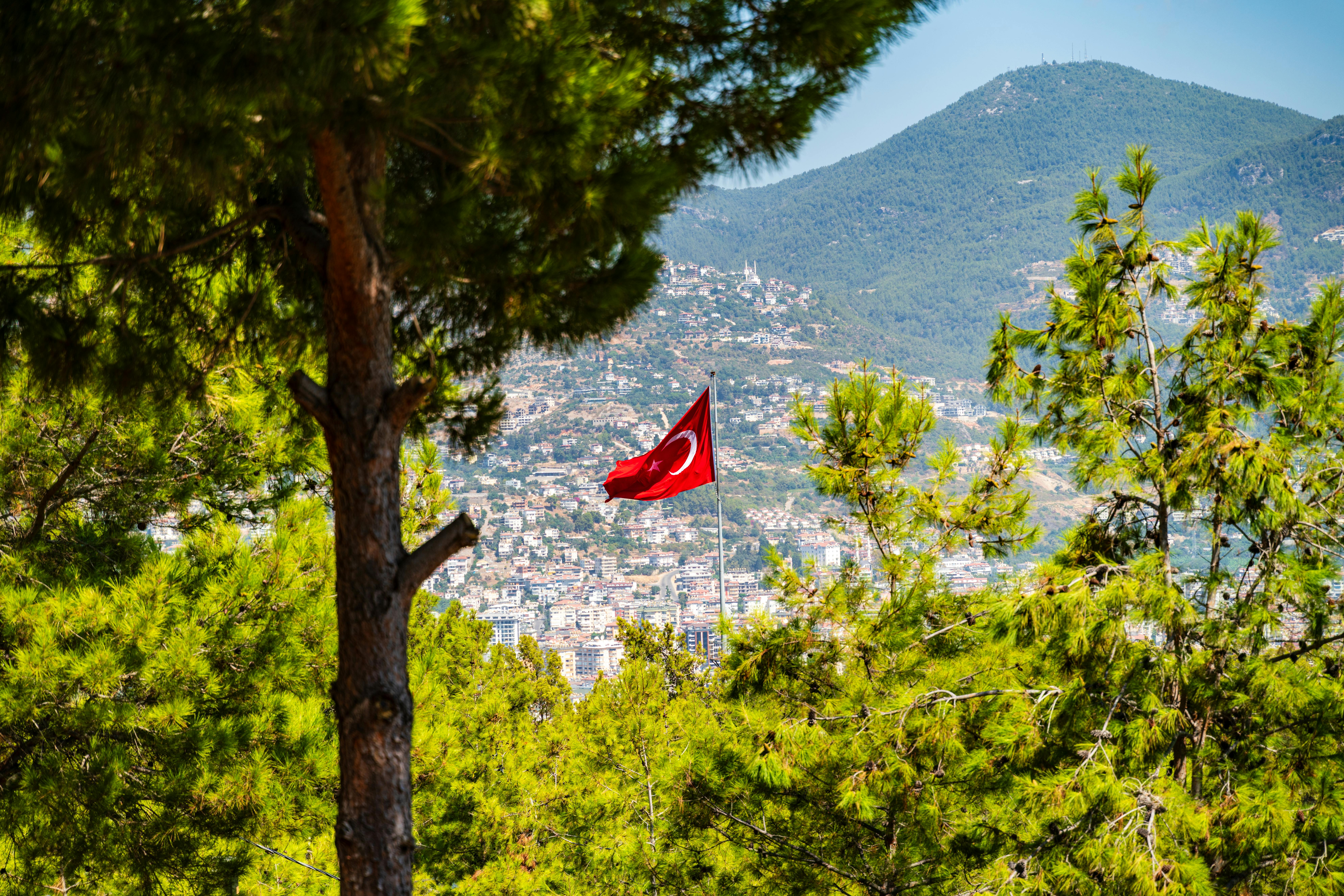 Big+Boob+Selfie Photos, Download The BEST Free Big+Boob+Selfie Stock