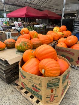 Bright orange pumpkins displayed at an outdoor market in fall.