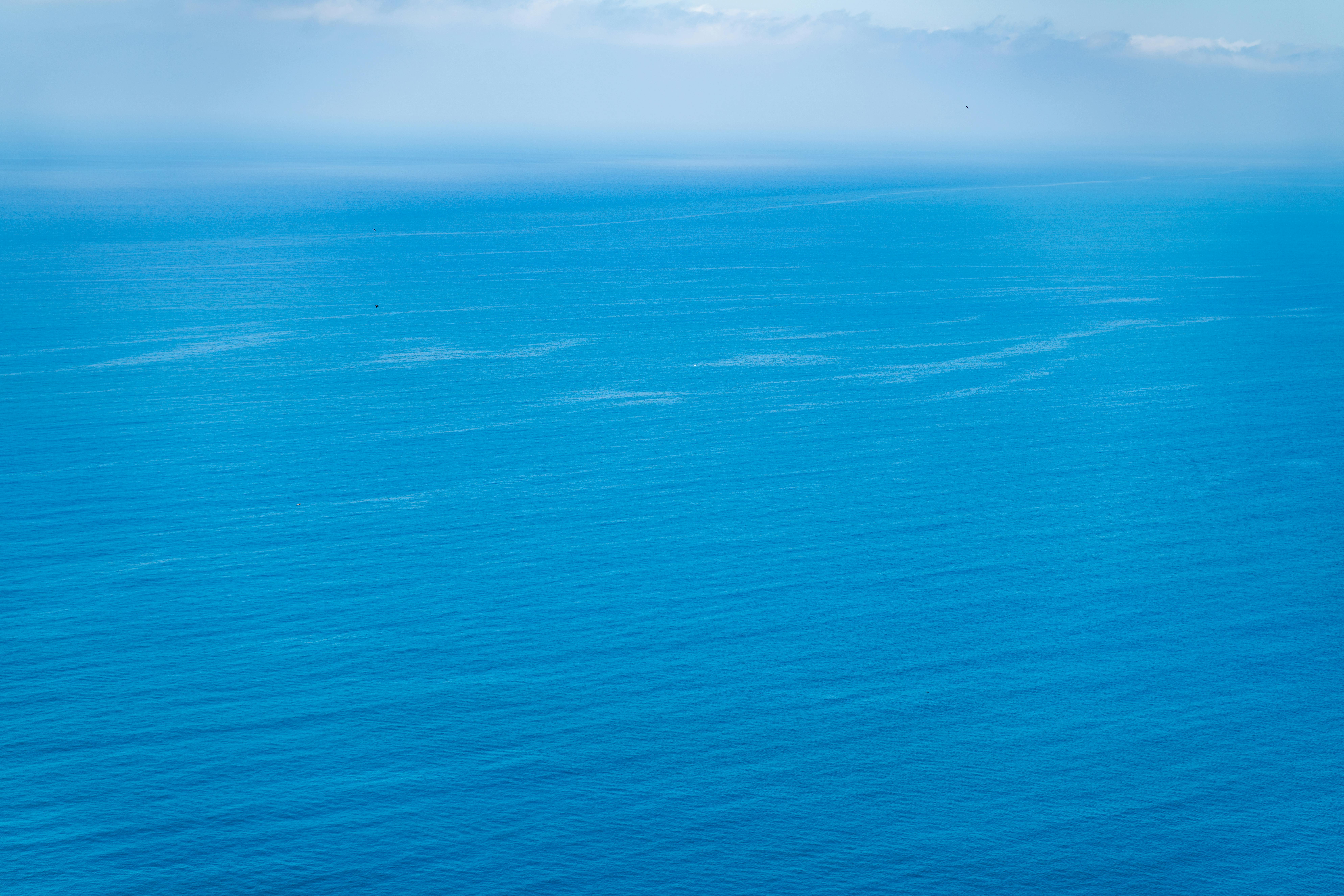 財經：甲骨文天價合約助攻，這檔個股受三大法人青睞卻股價疲軟