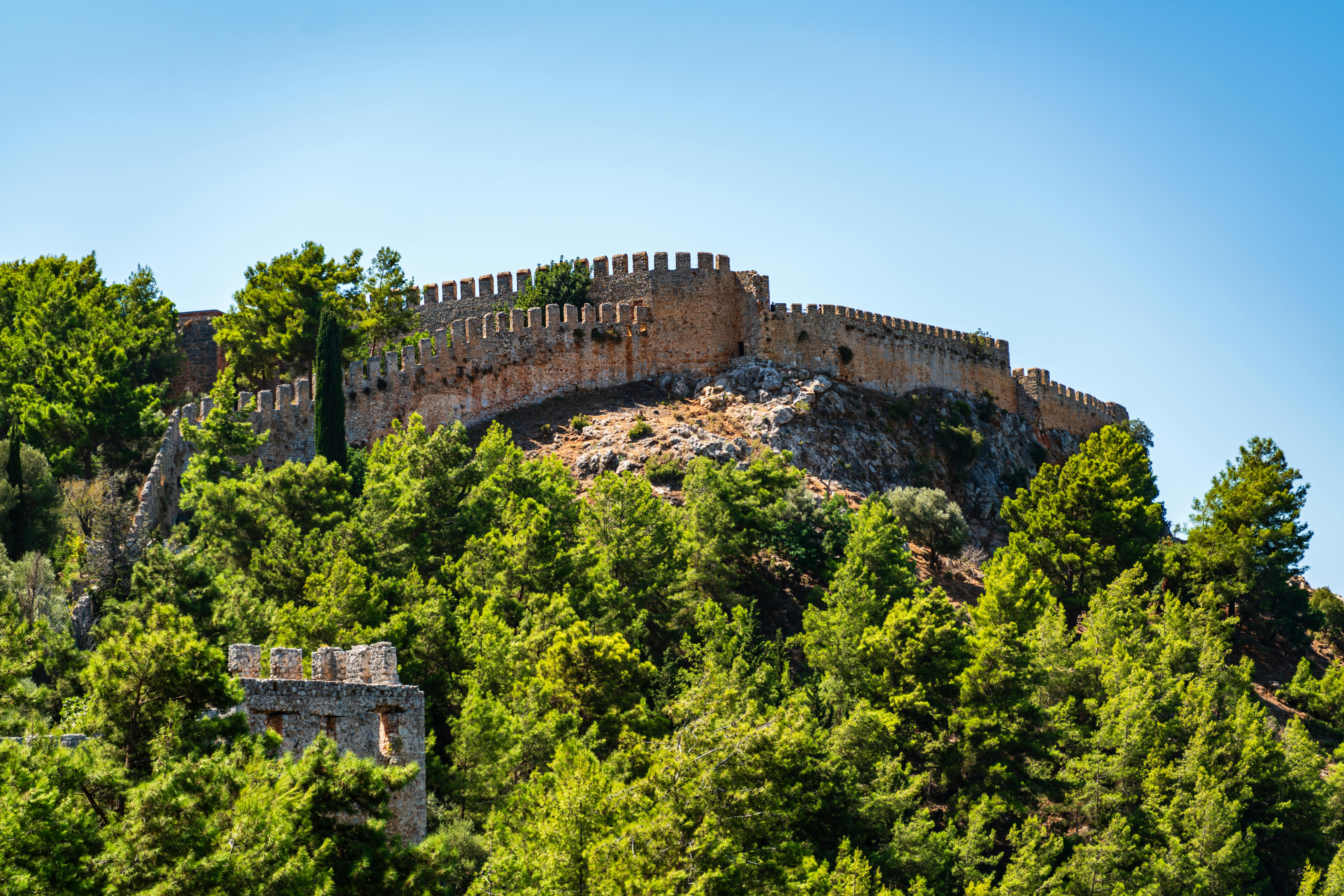 Big+Ass+Twerk+Gif Photos, Download The BEST Free Big+Ass+Twerk+Gif Stock Photos & HD Images