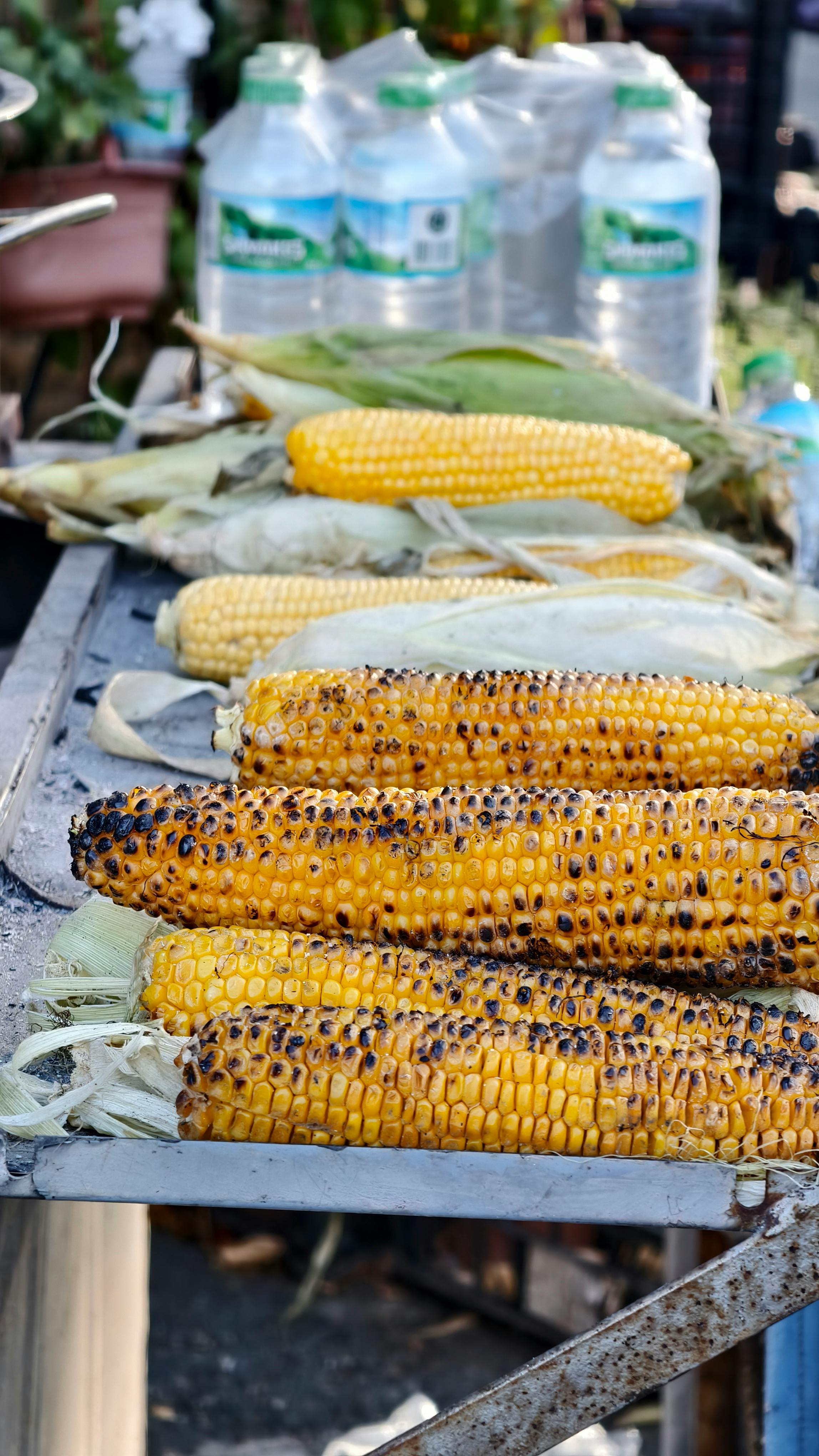 Gratis Grillet Mais På Gatematbod I Istanbul Arkivbilde