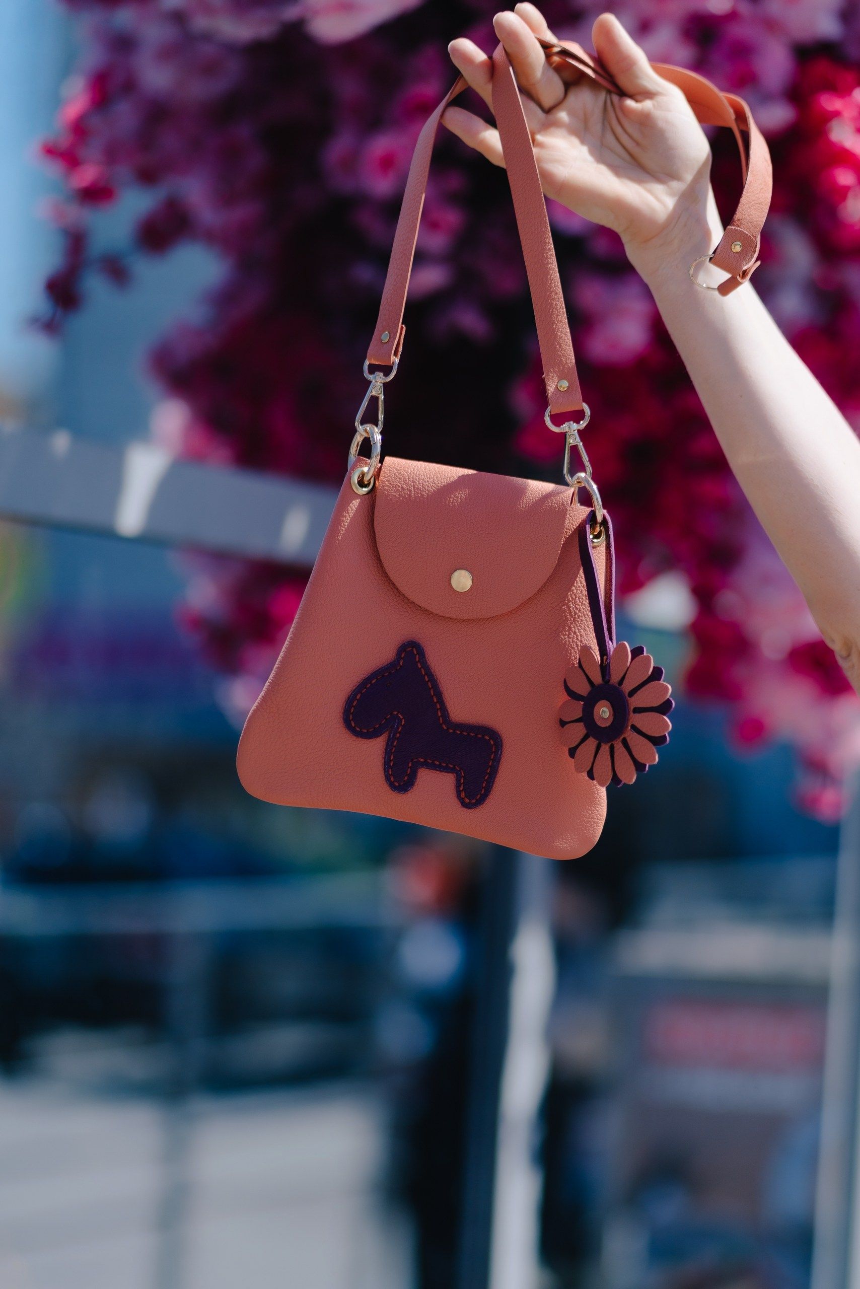 Bolsa Transversal