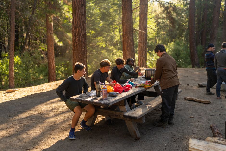Trailhead Works teammates sharing a forest meal — photo by ha ha on Pexels