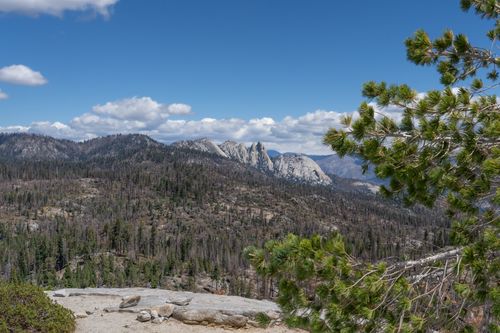 Free Breathtaking landscape of Sierra Nevada under a clear blue sky, showcasing lush forests and rocky peaks. Stock Photo