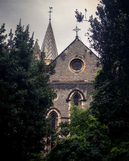 Free A majestic Gothic church spire peeks through lush greenery in İstanbul, Türkiye. Stock Photo