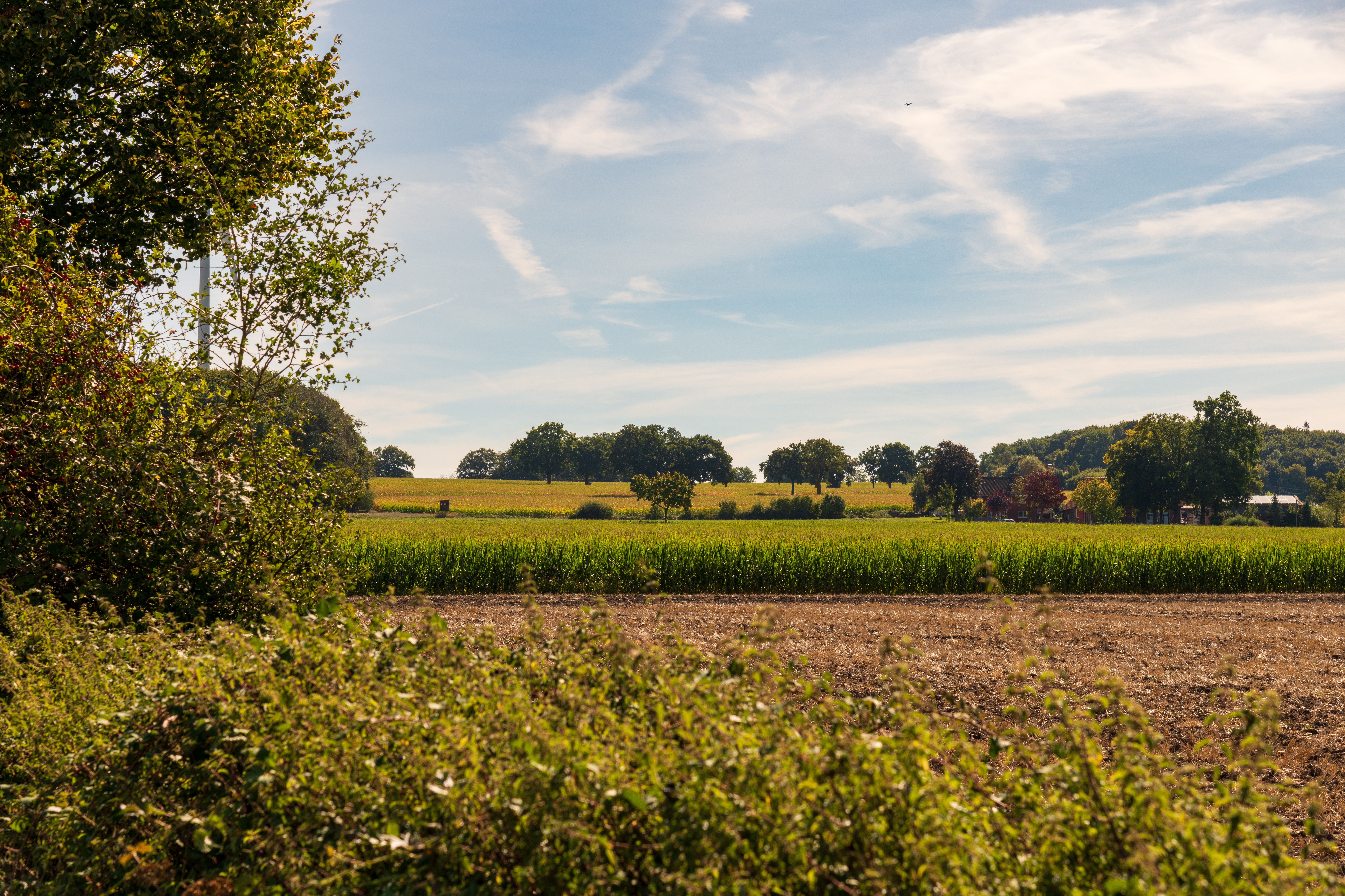 Idyllic Countryside Landscape under Blue Sky · Free Stock Photo