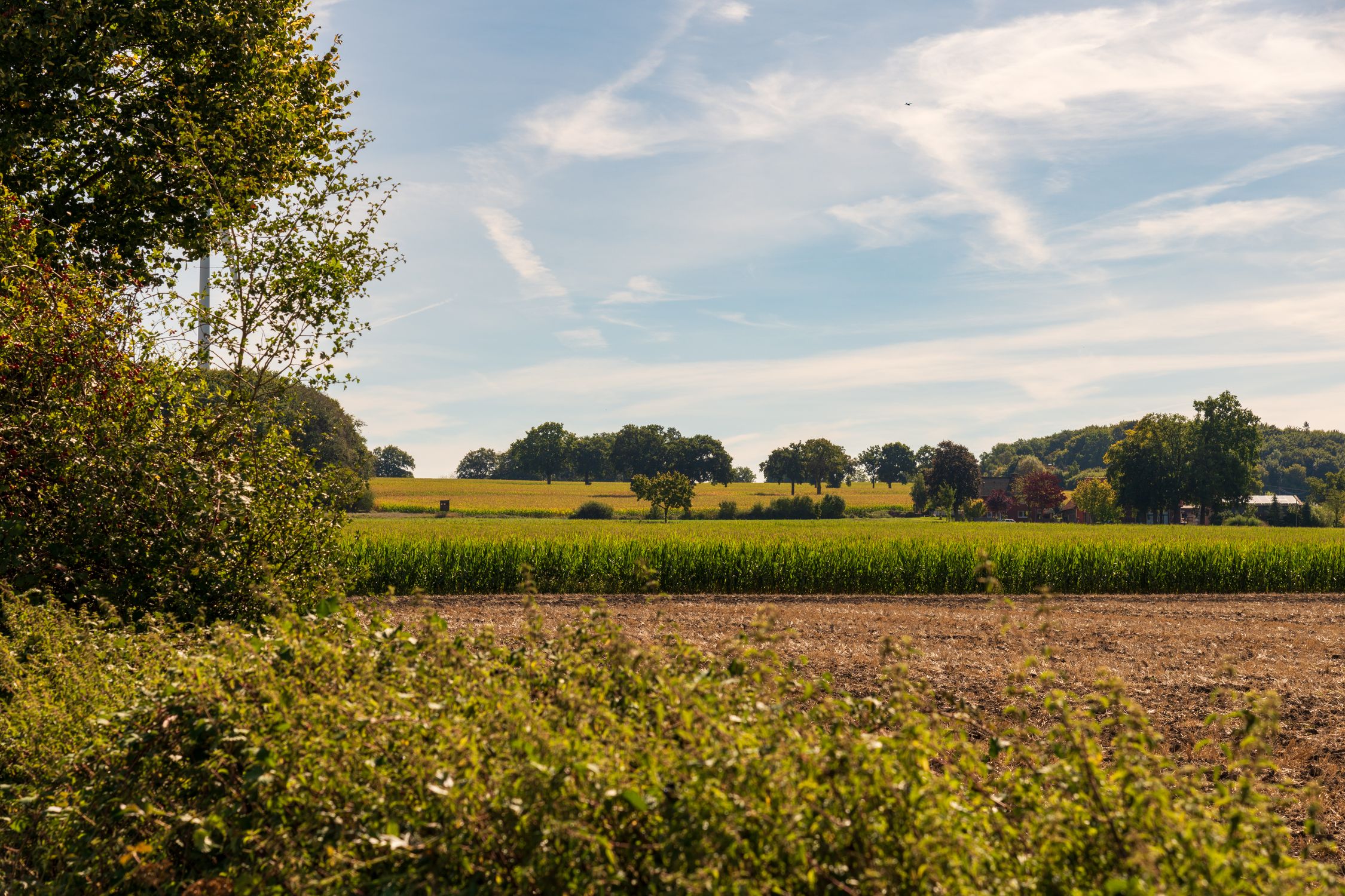 Idyllic Countryside Landscape under Blue Sky · Free Stock Photo