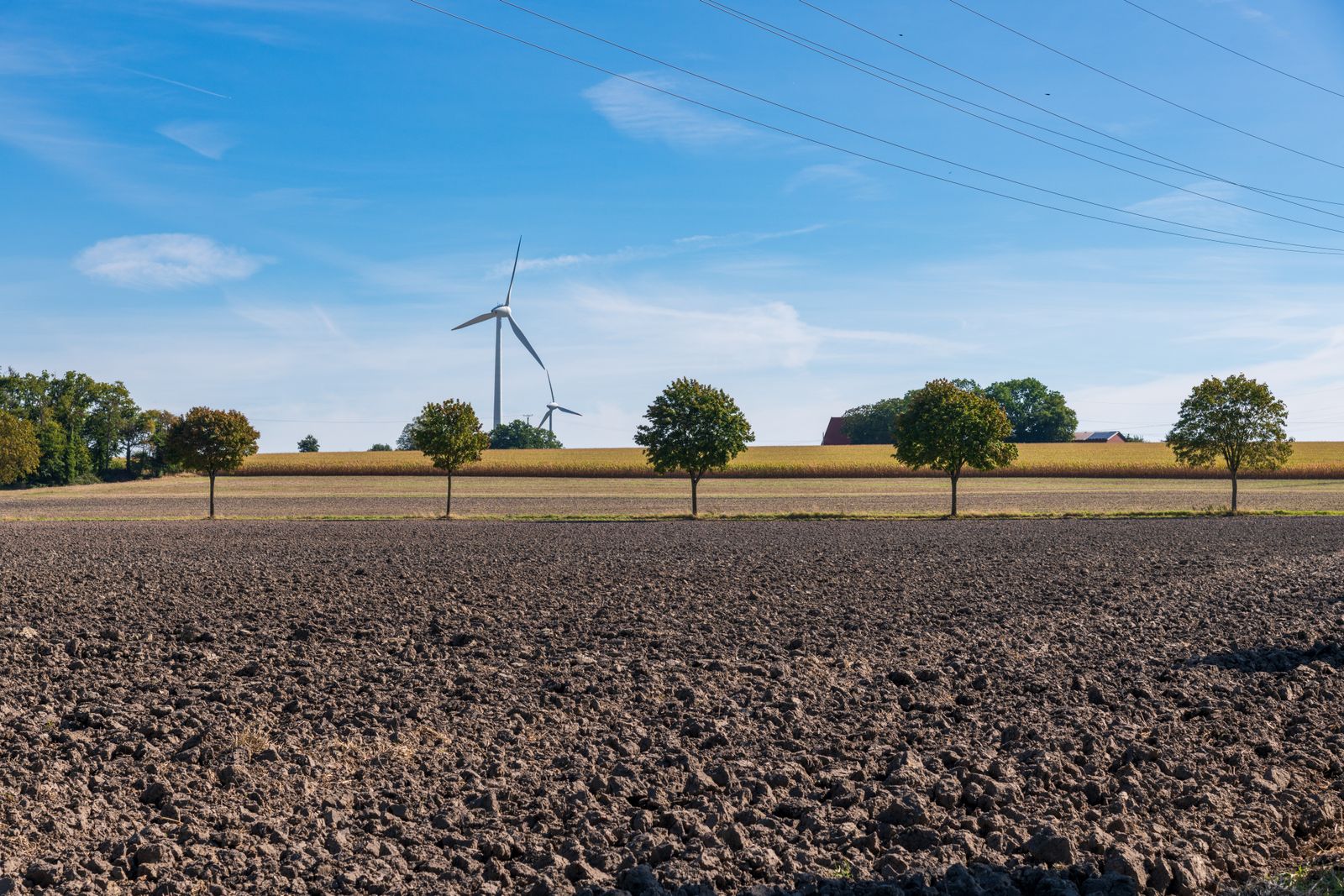 Aerogeneradores en entorno rural