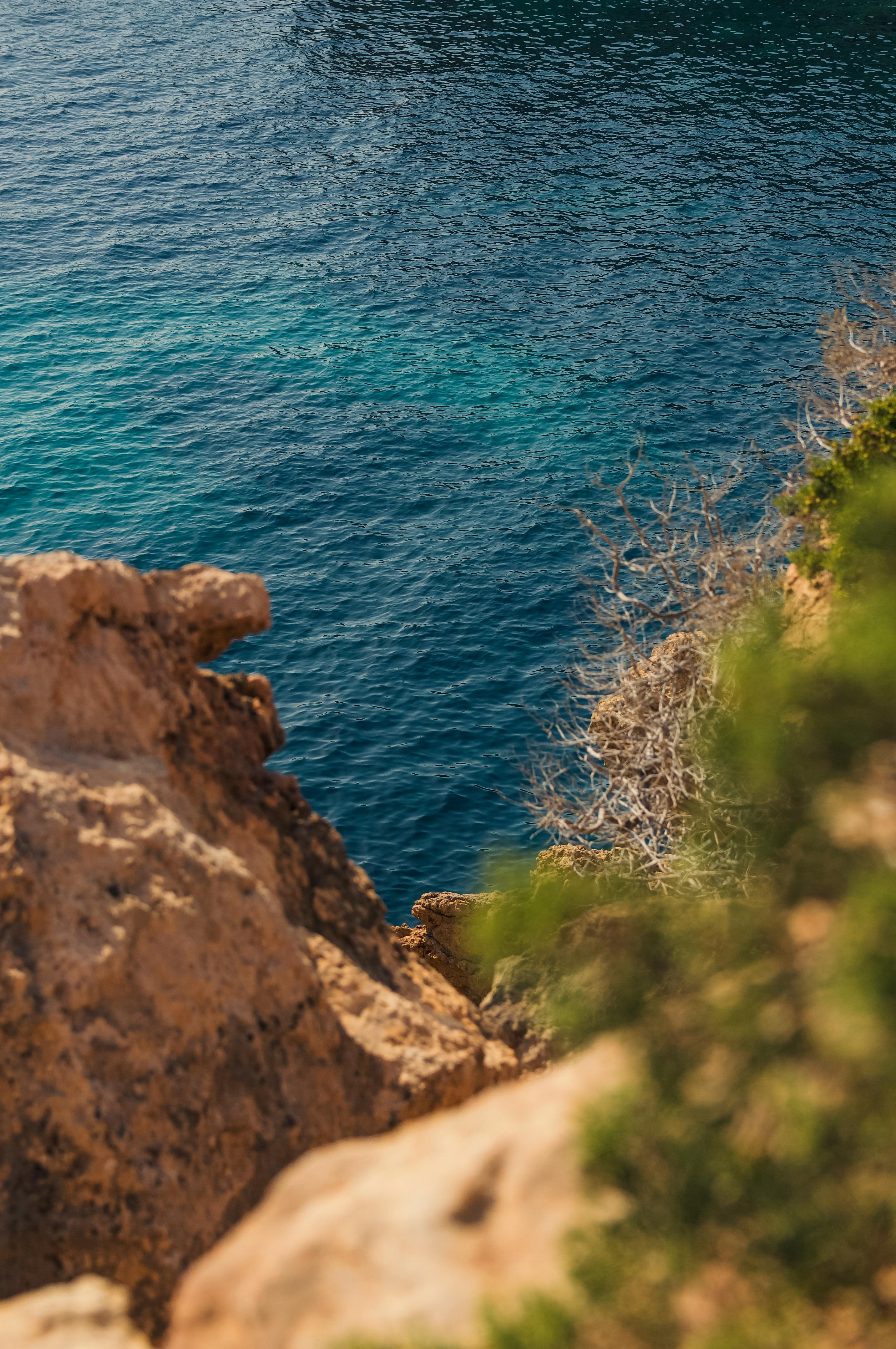 Topless+Wives+At+The+Beach Photos, Download The BEST Free Topless+Wives+At+The+Beach Stock