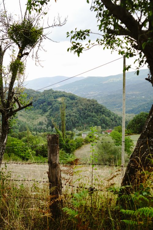 Free Tranquil countryside landscape framed by trees with rolling hills in the background. Stock Photo