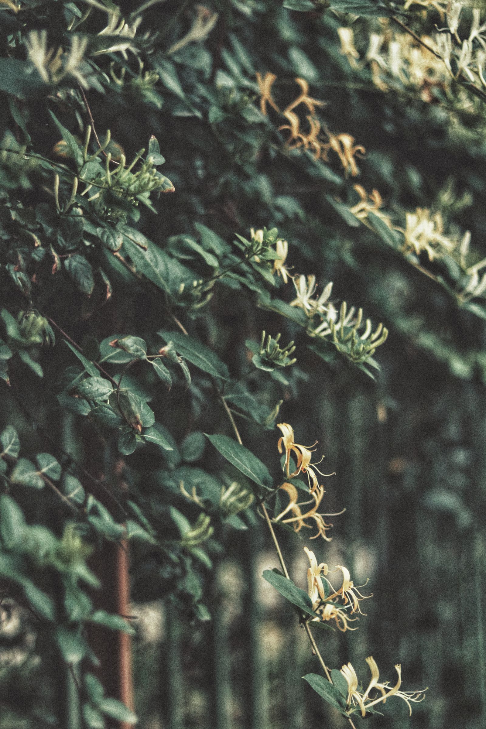 5 Mb Photo Photos, Download The BEST Free 5 Mb Photo Stock Photos & HD ...