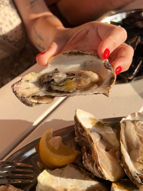 Free Close-up of fresh oysters being held, served with lemon wedges. Perfect for seafood lovers. Stock Photo