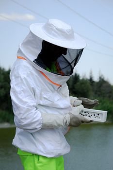 A beekeeper in protective clothing working bees beside a river