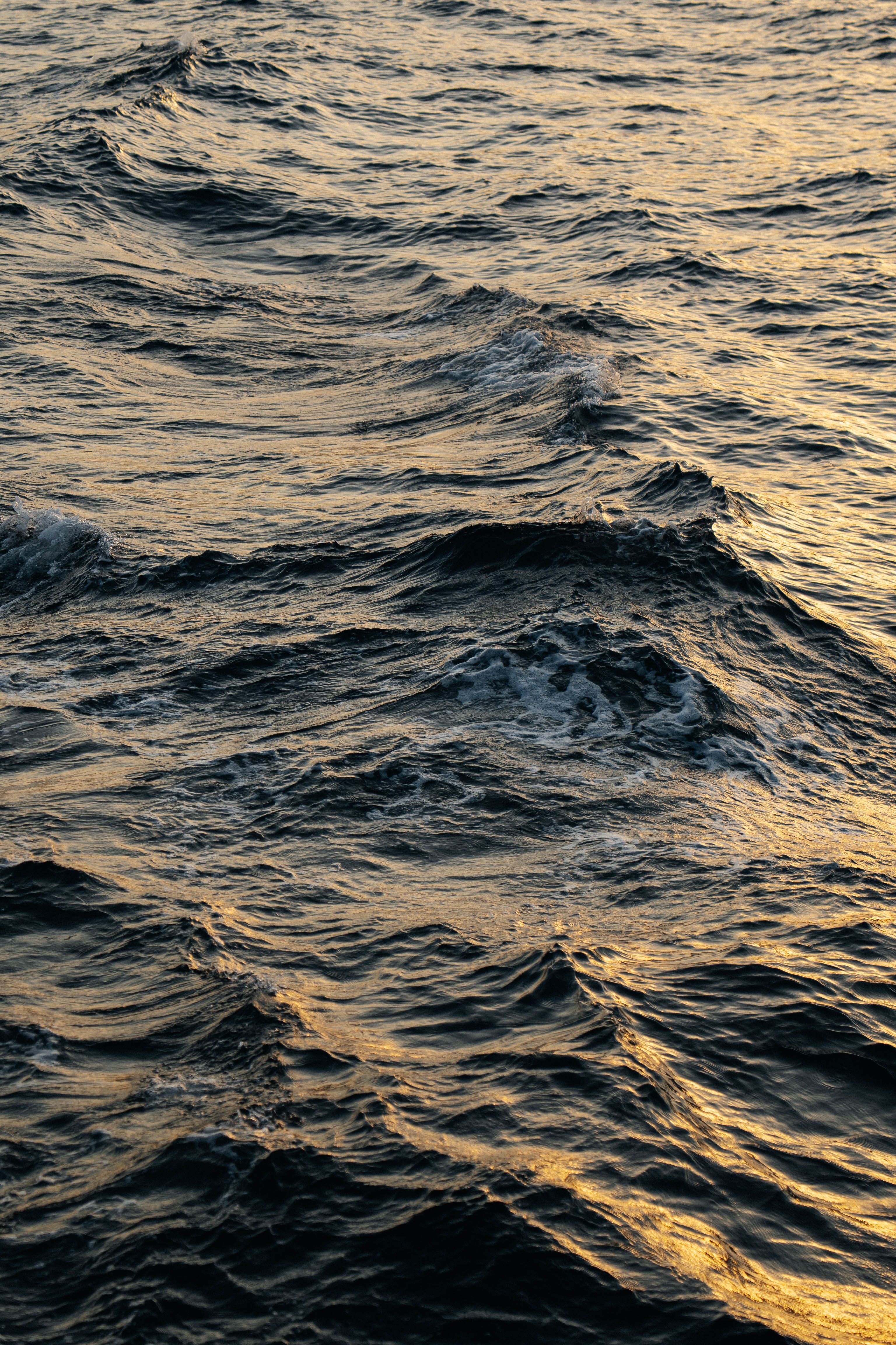 Captivating ocean waves reflecting the golden hues of sunset, creating a serene and tranquil scene.