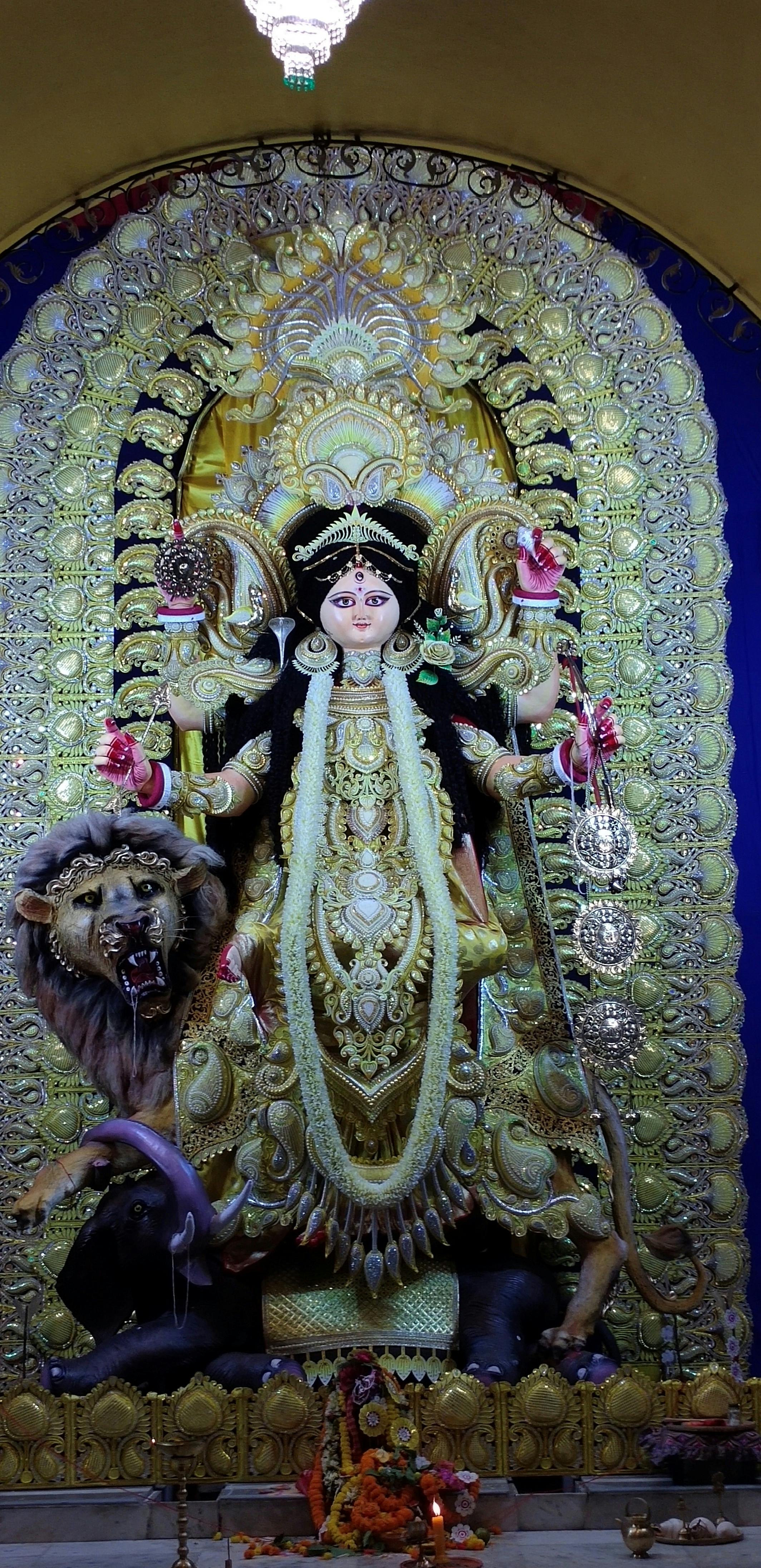Theme for Sarishapara Sarbojanin Jagadhatri Puja
