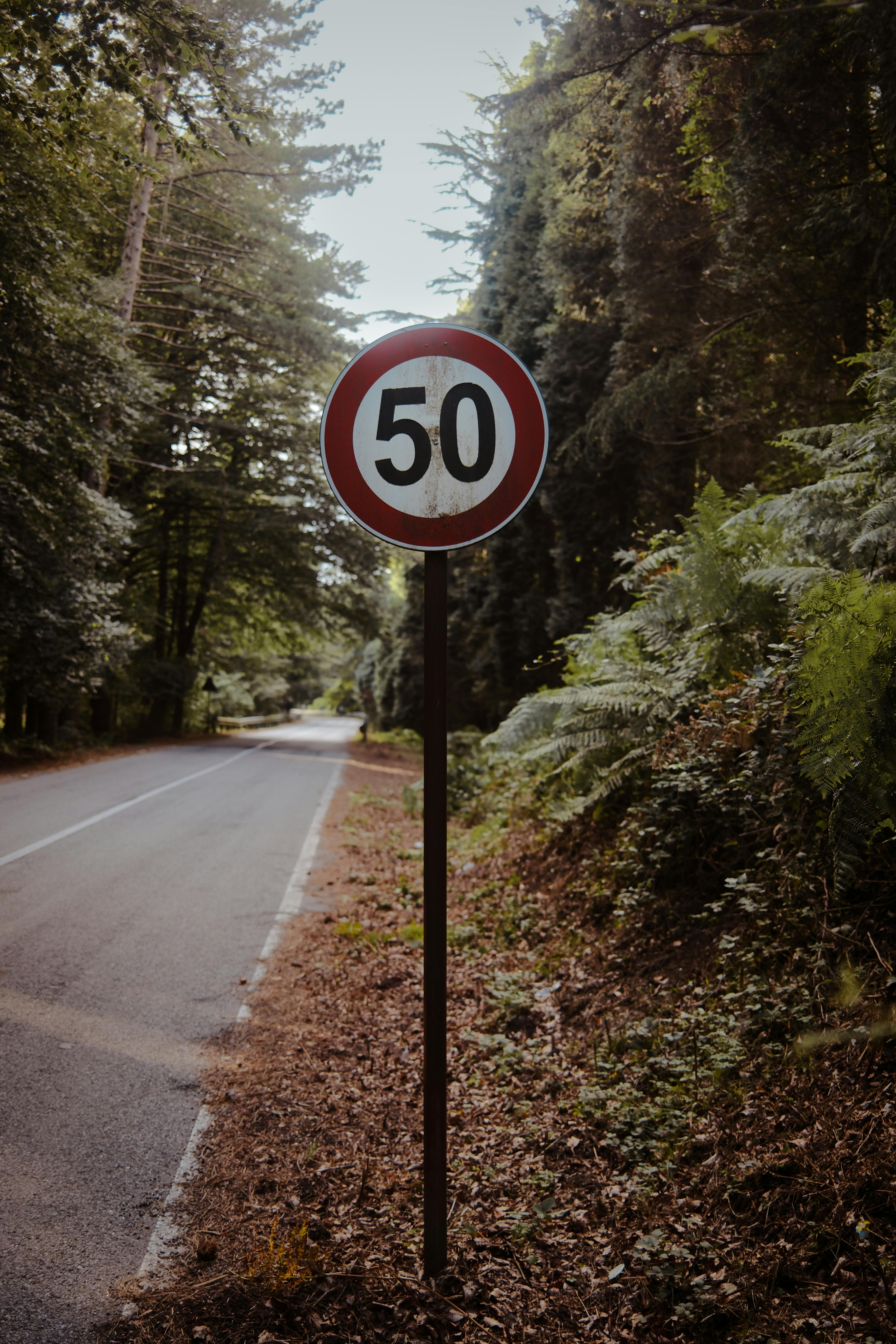 Speed limit sign on a wooded rural road, creating a serene, natural scene.