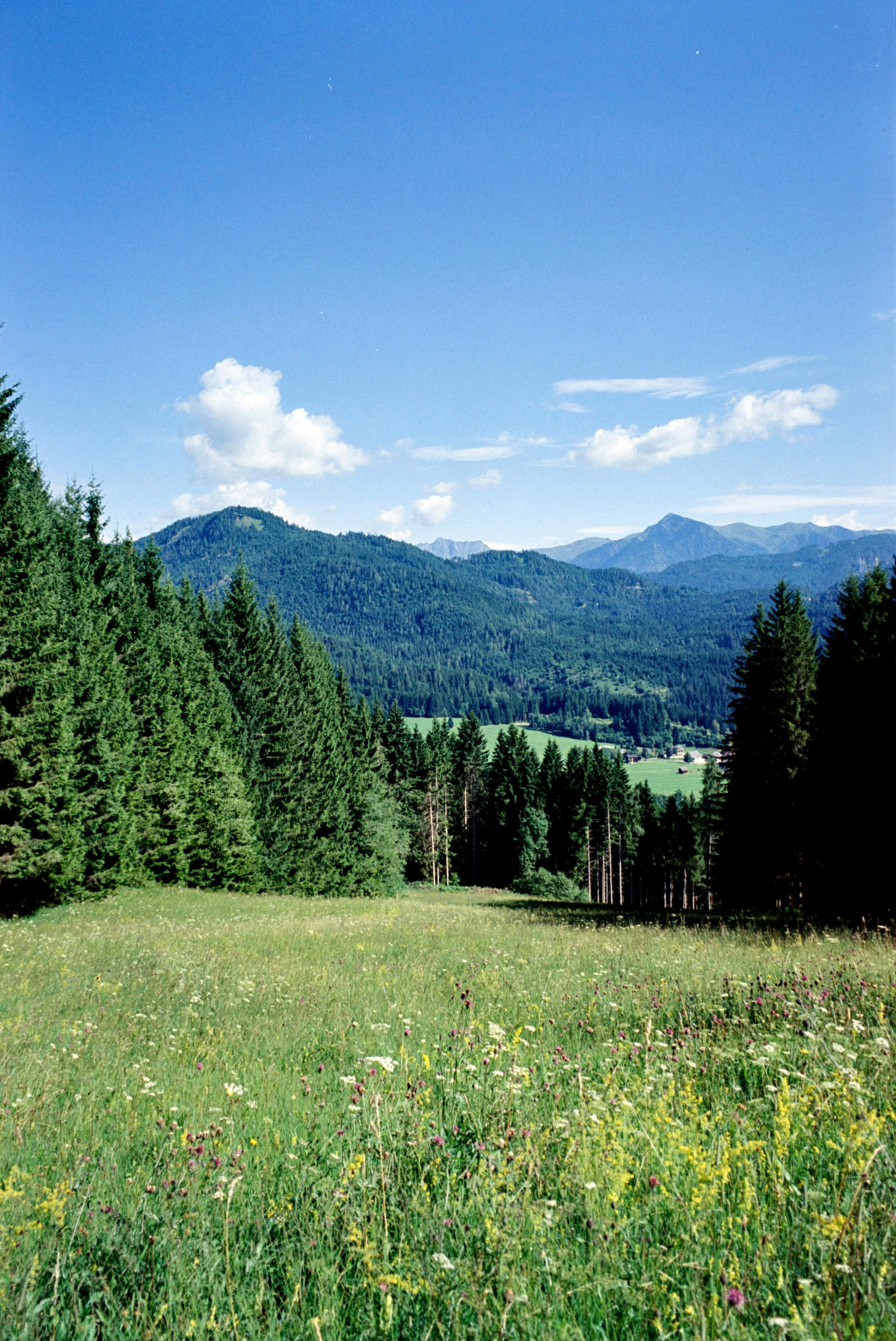 ฟรี คลังภาพถ่ายฟรี ของ กล้องอะนาล็อก, กลางวัน, กลางแจ้ง คลังภาพถ่าย